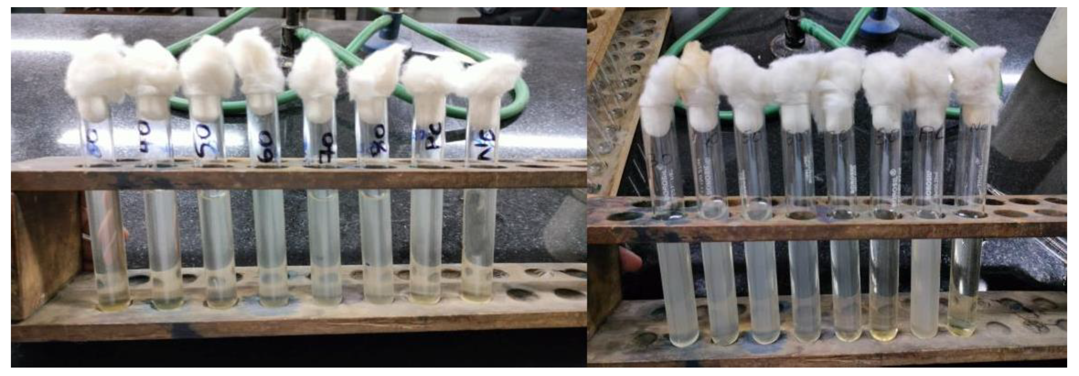 Preprints 139890 g002