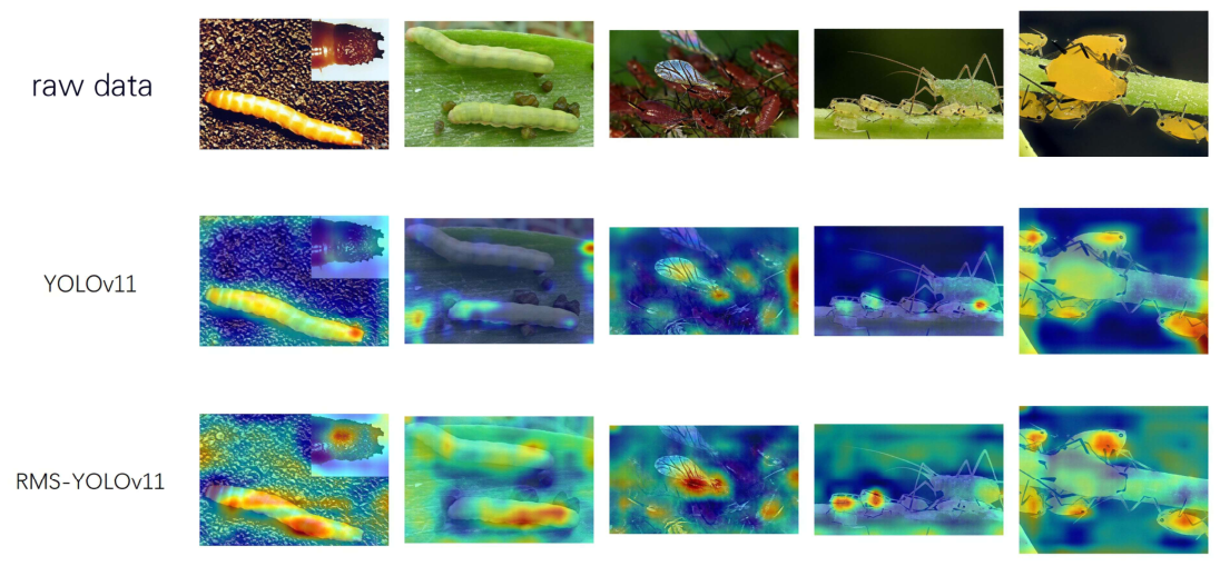 Preprints 223911 g010