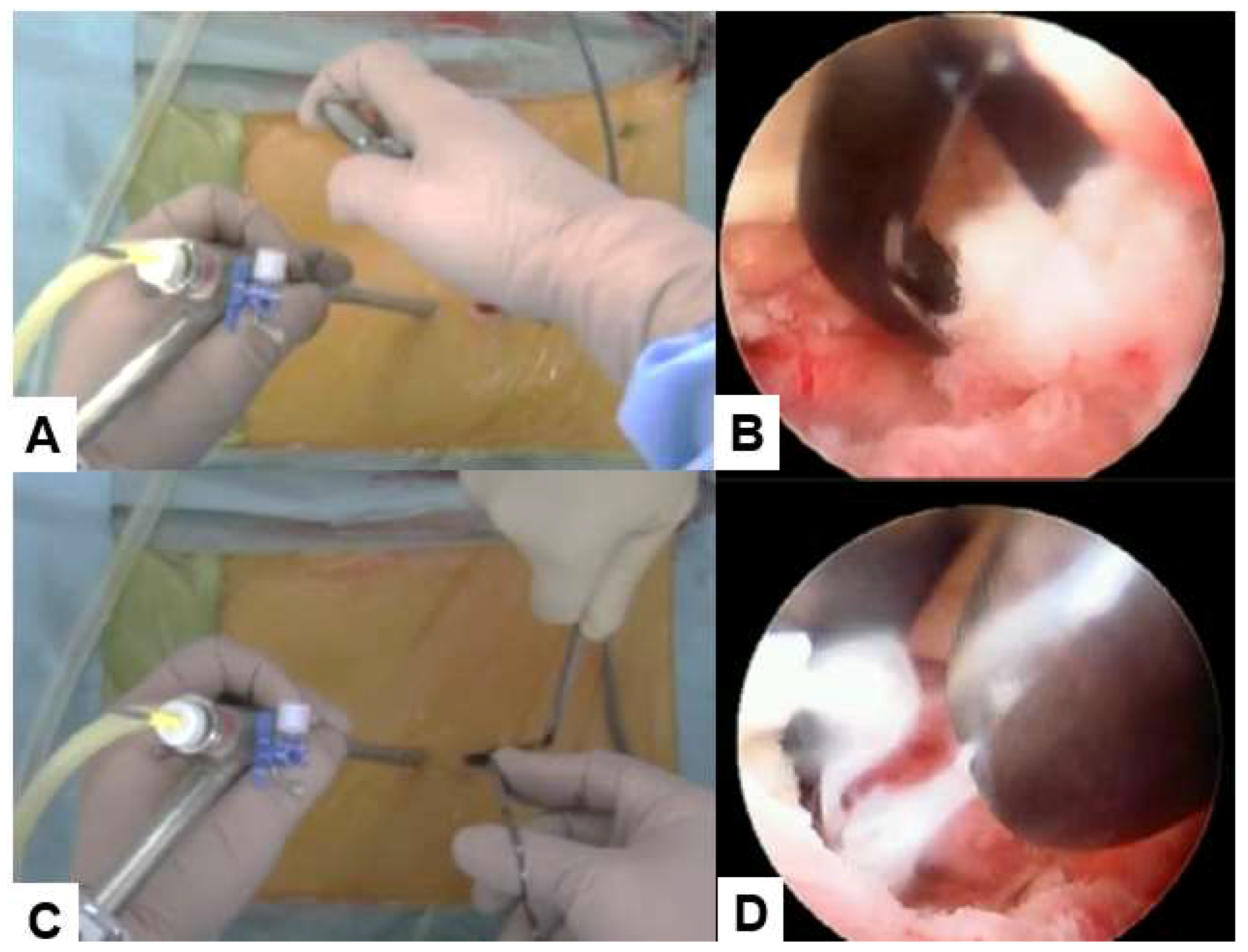 Preprints 94241 g006