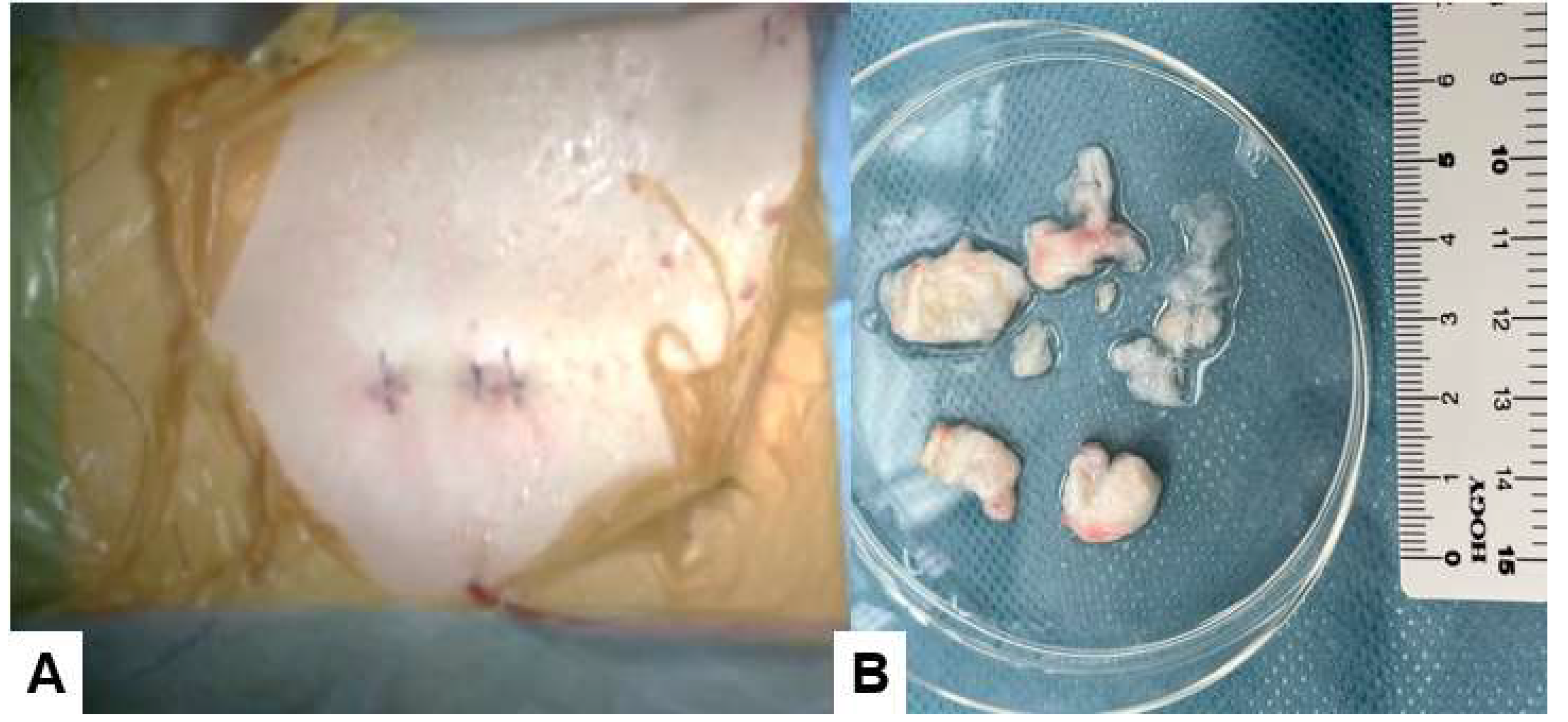 Preprints 94241 g007