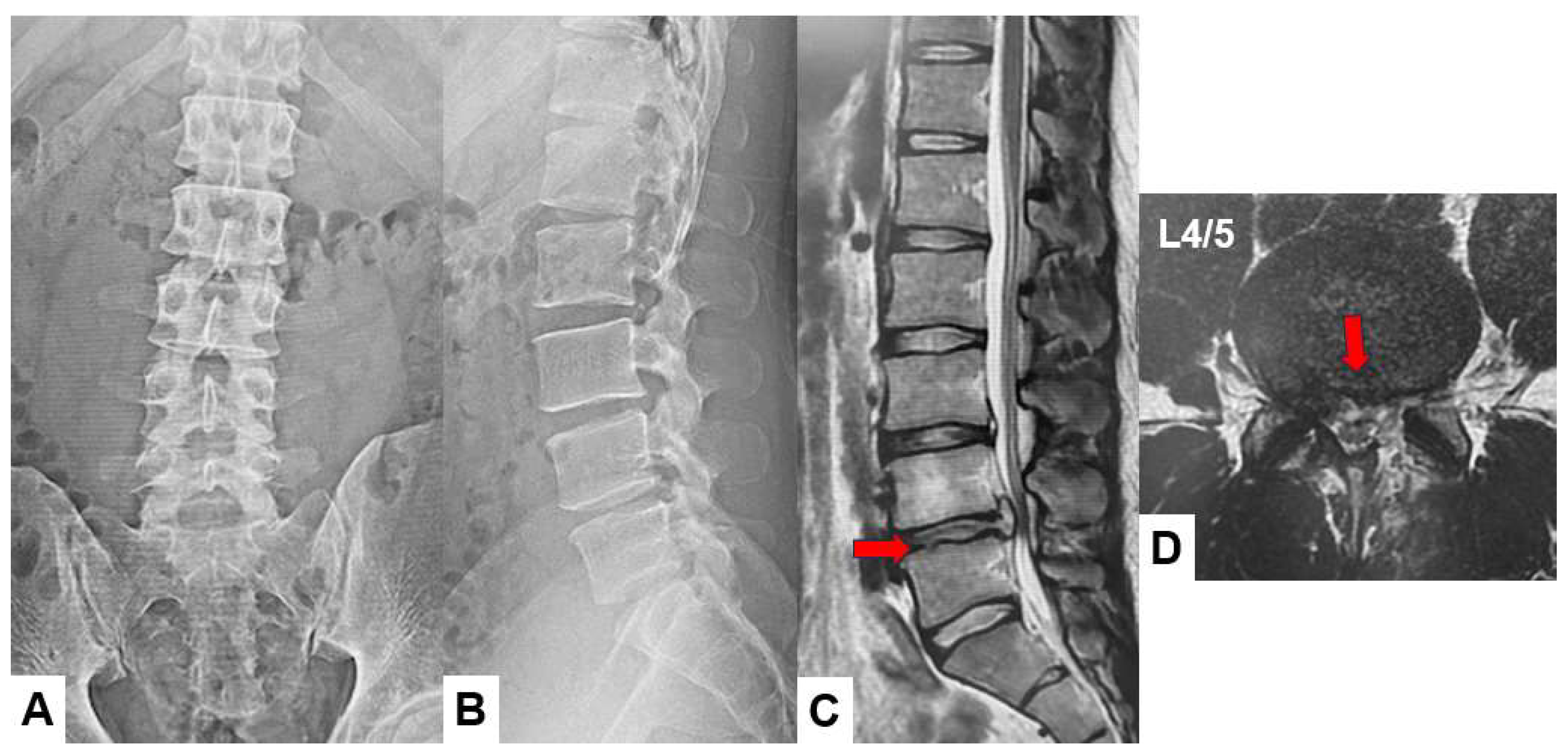Preprints 94241 g008
