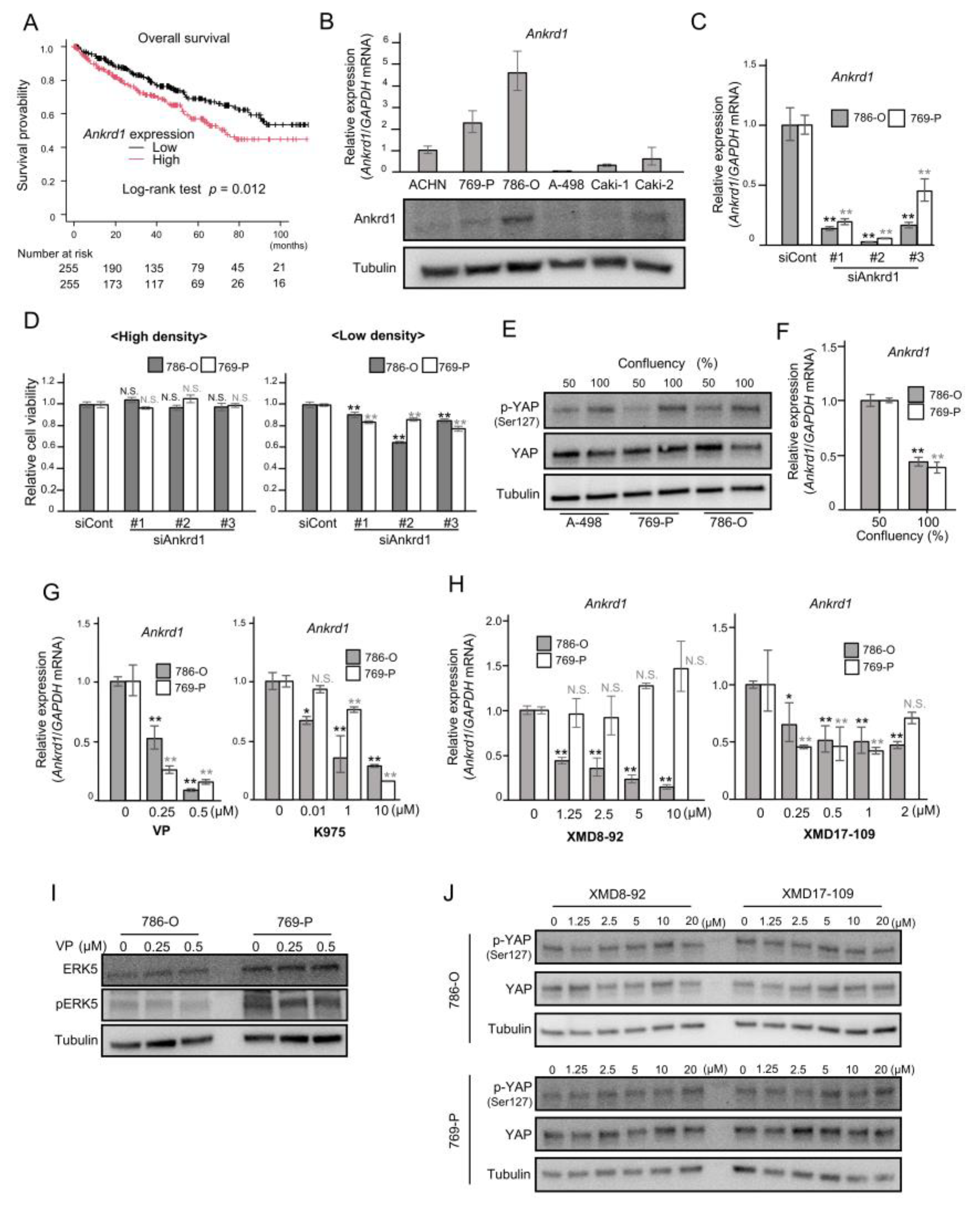 Preprints 153906 g001