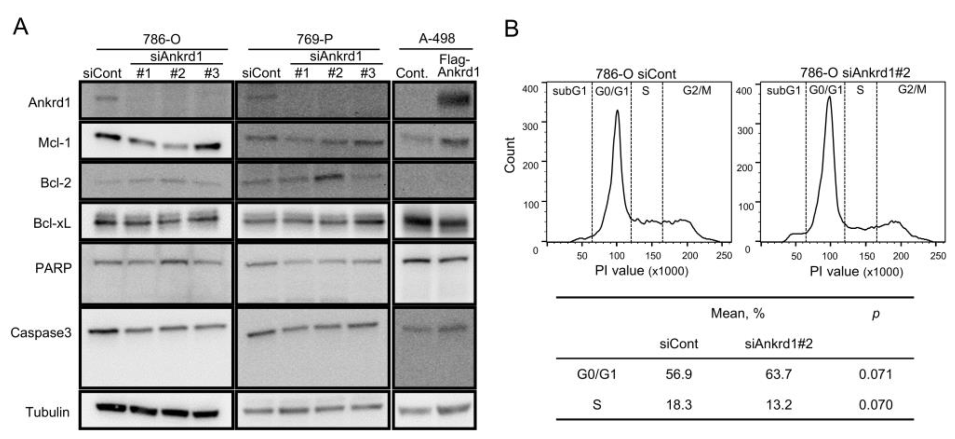 Preprints 153906 g002