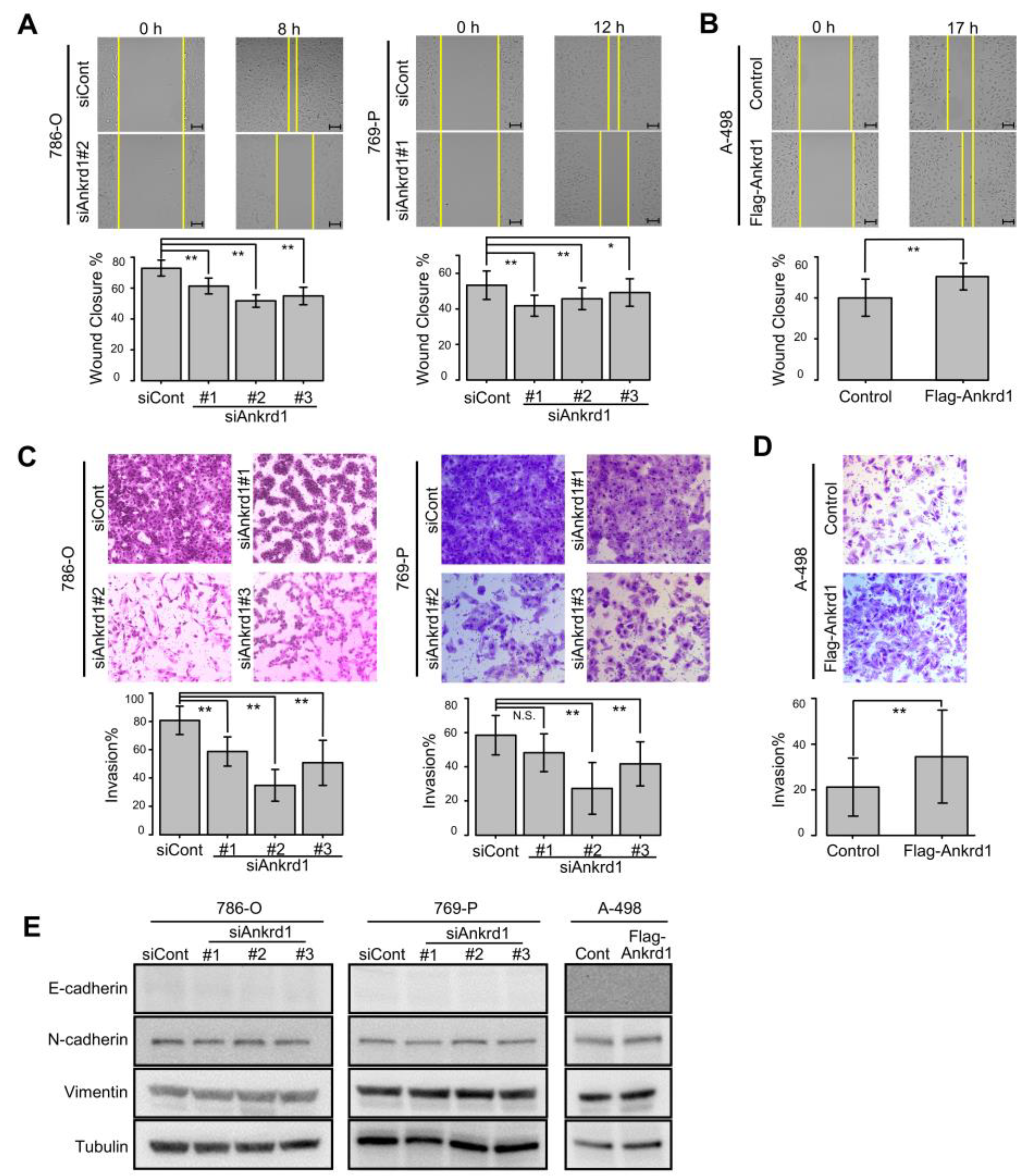 Preprints 153906 g003