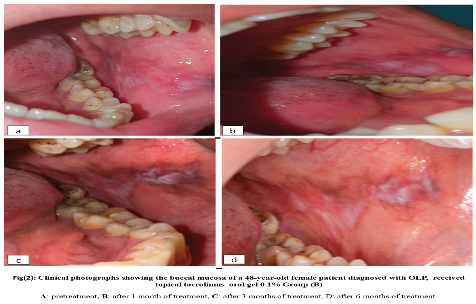 Preprints 189119 i002
