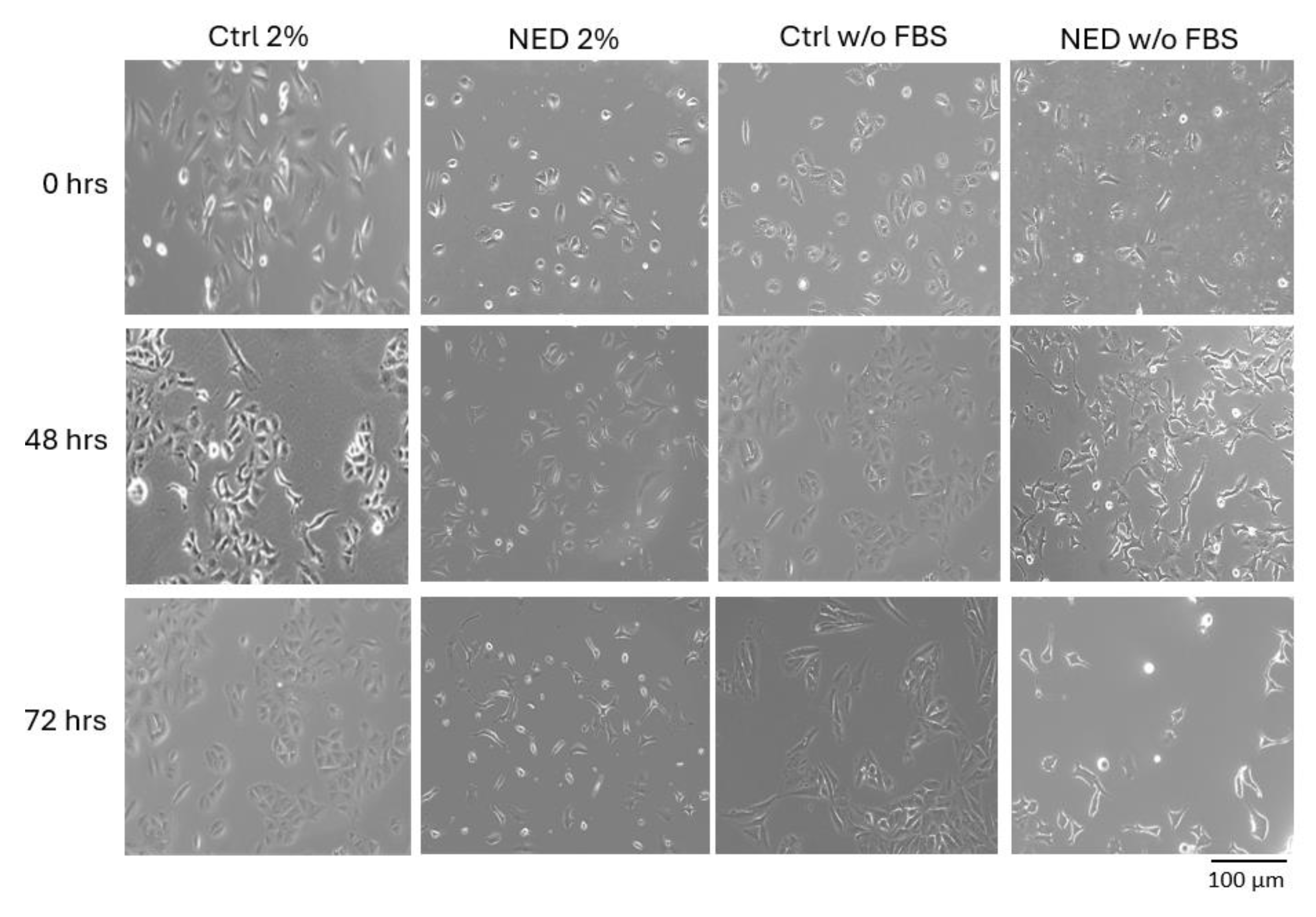 Preprints 162258 g001