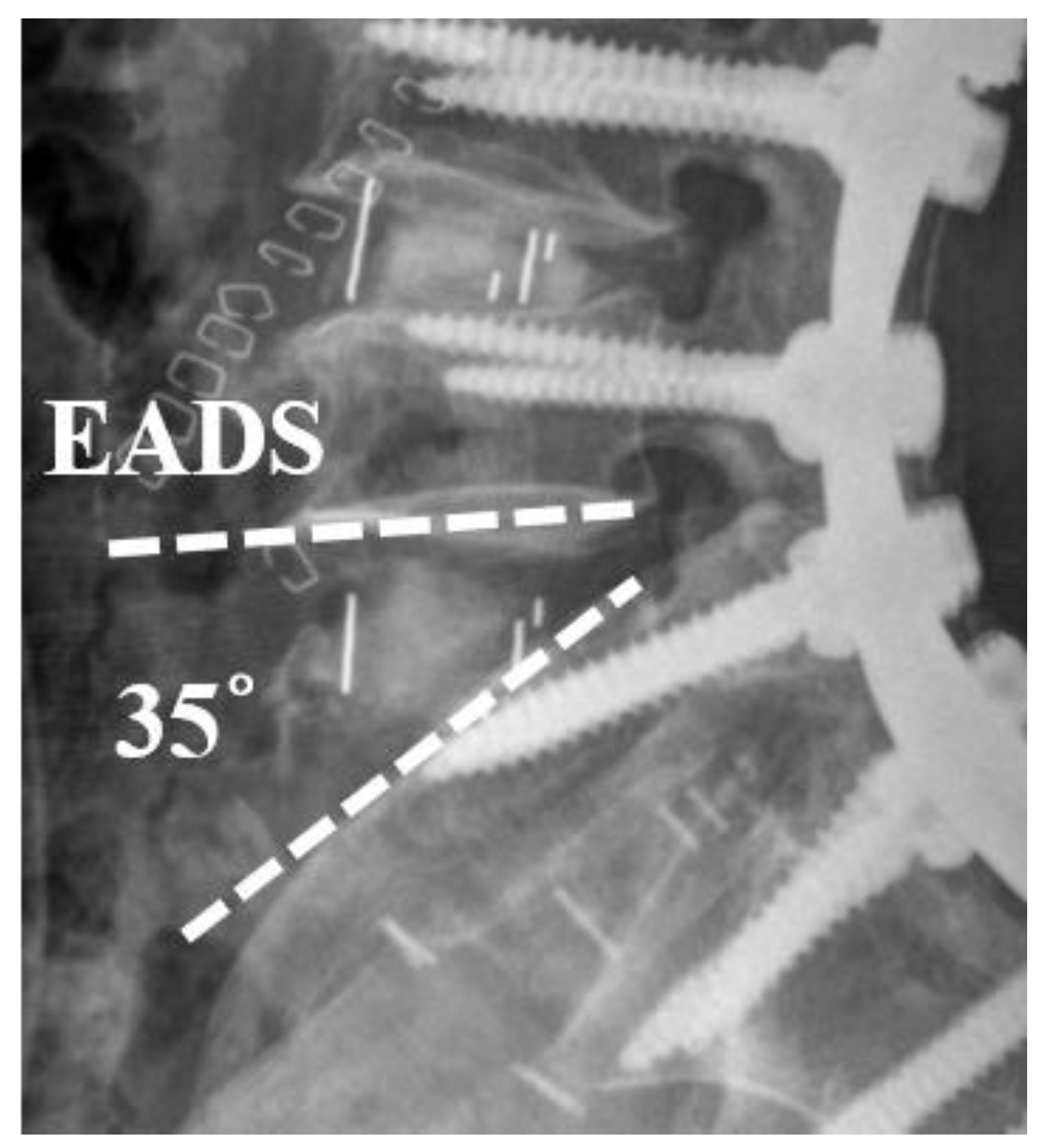 Preprints 173671 g001