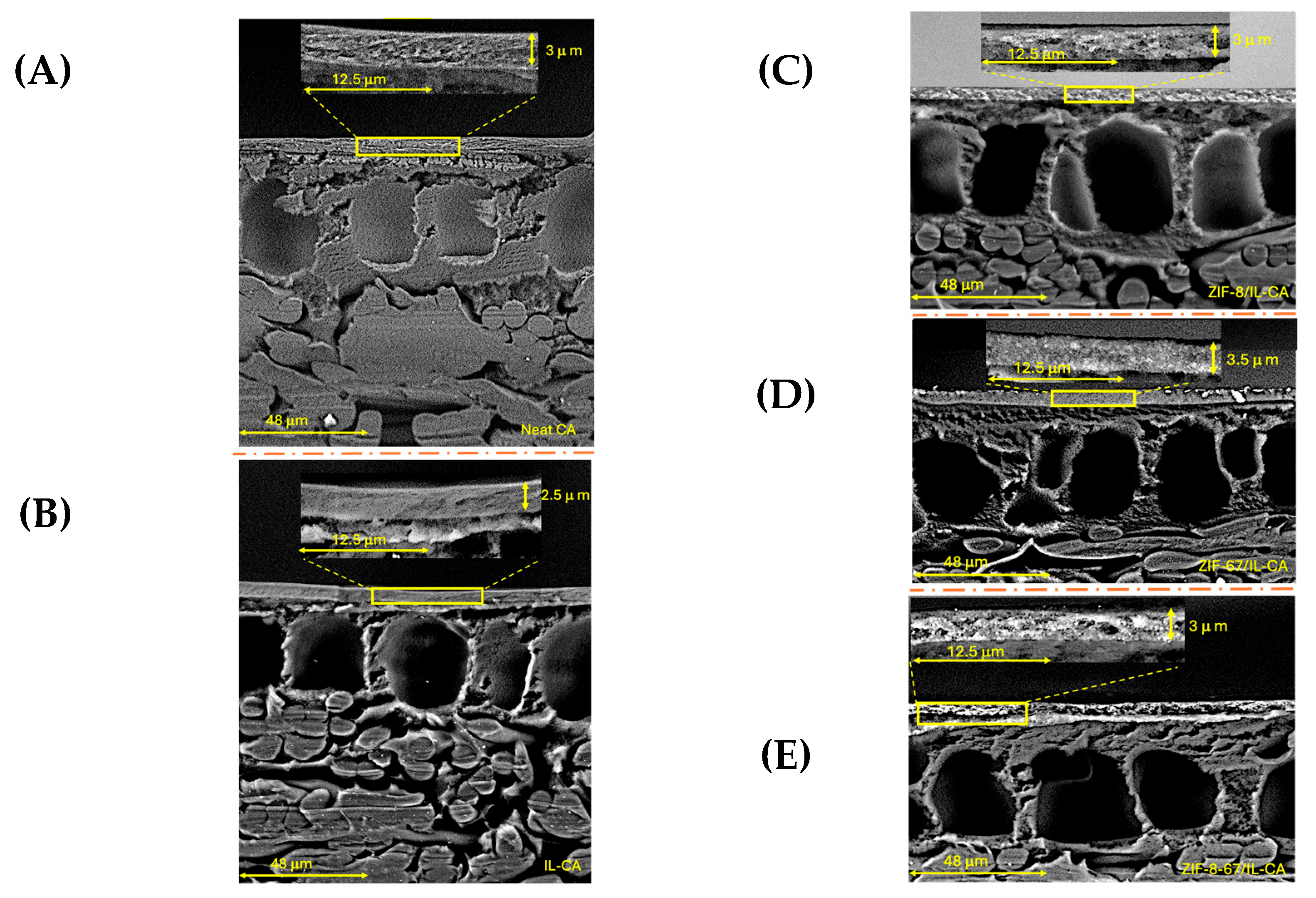 Preprints 189826 g003
