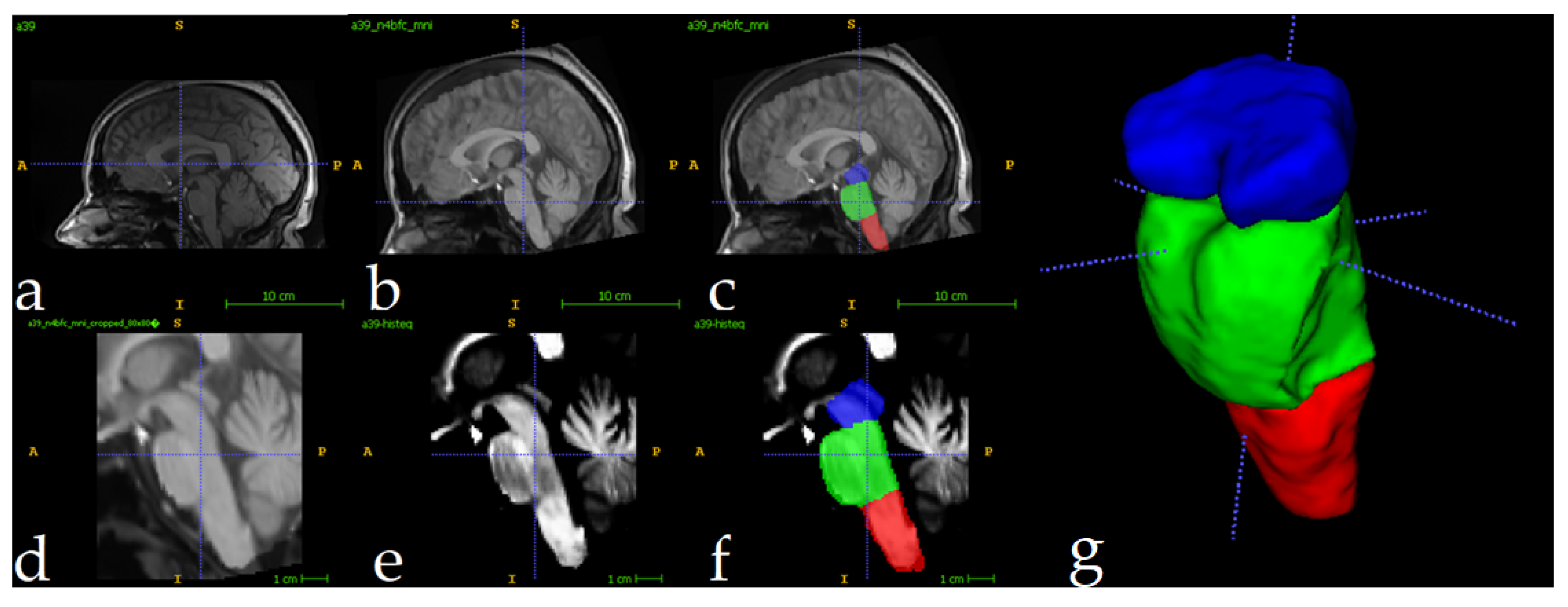 Preprints 158567 g003
