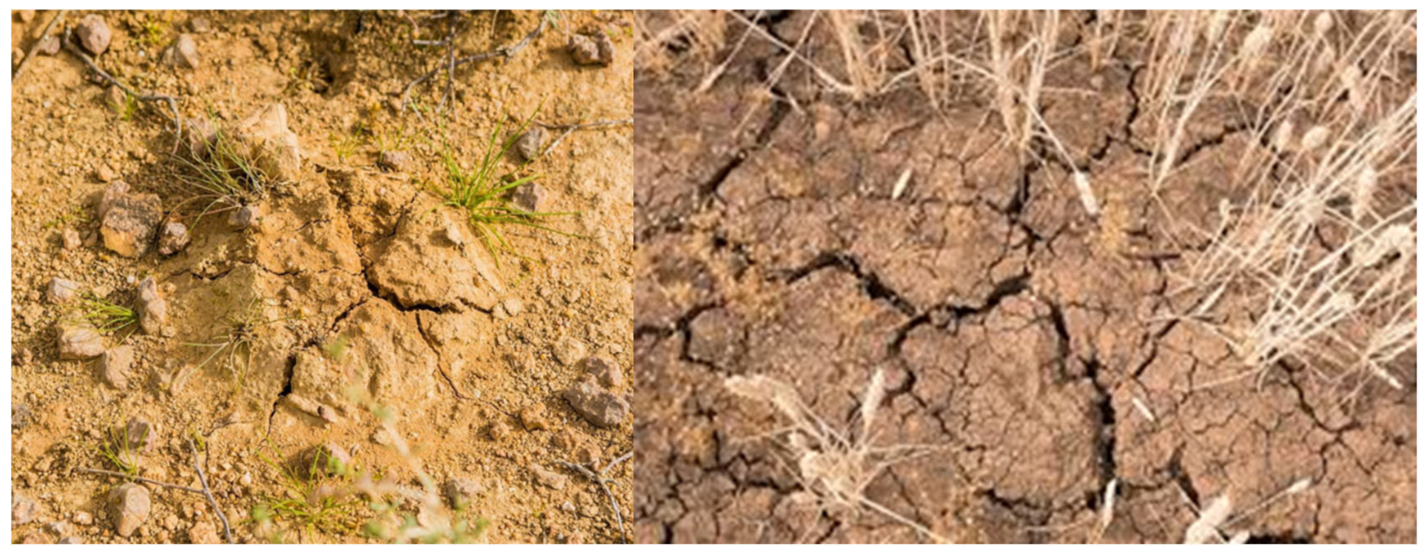 Preprints 179286 g001