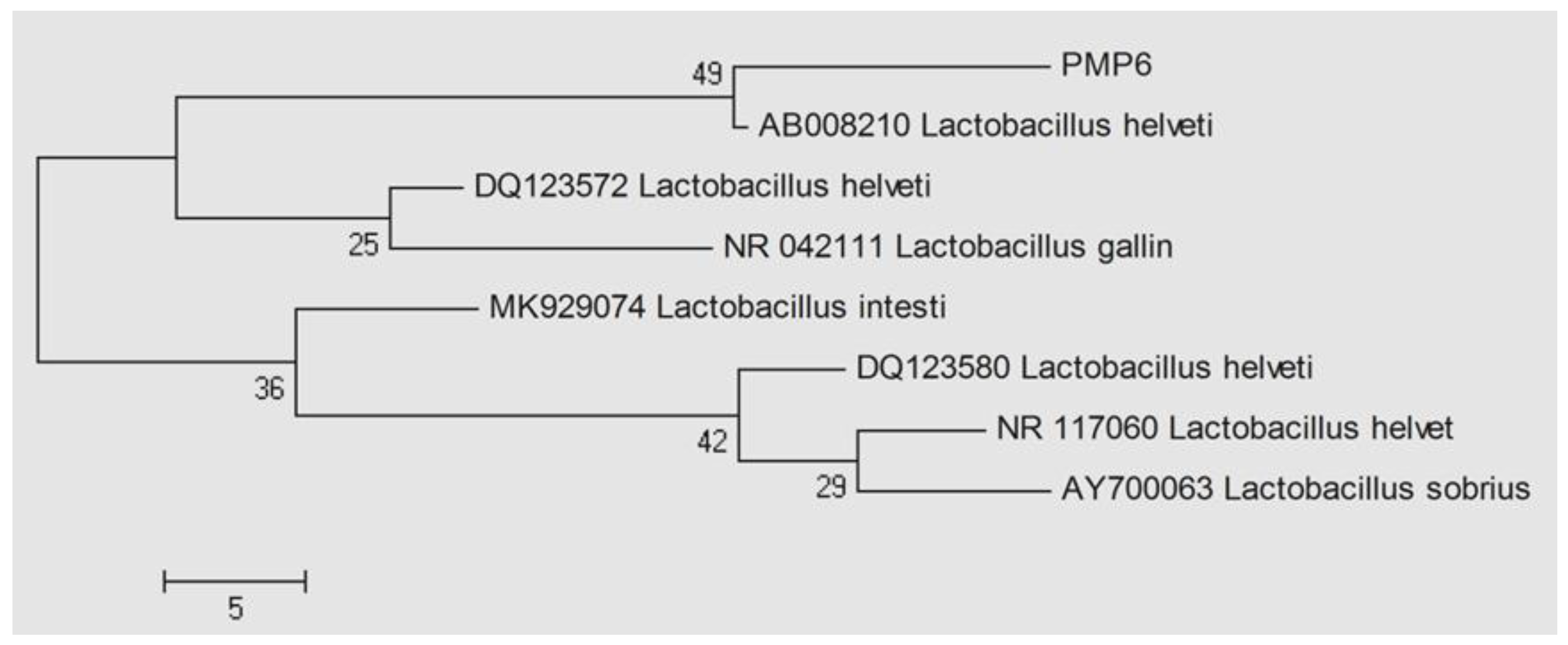 Preprints 142669 g003
