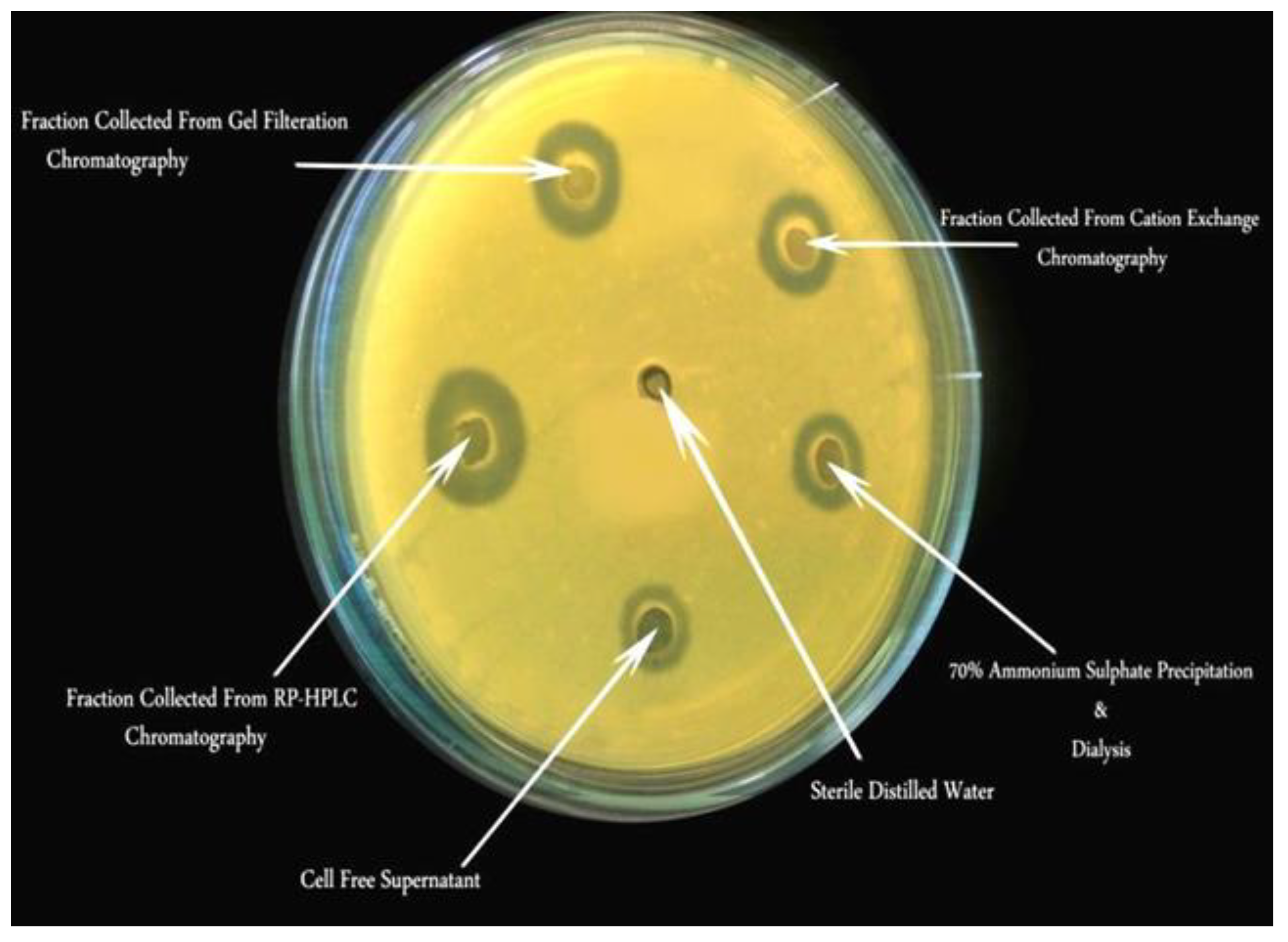 Preprints 142669 g005
