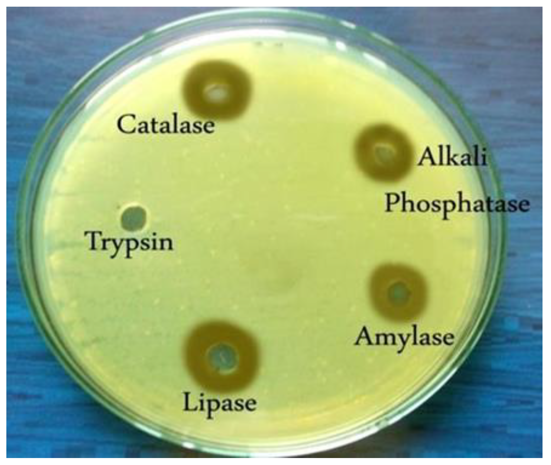 Preprints 142669 g007