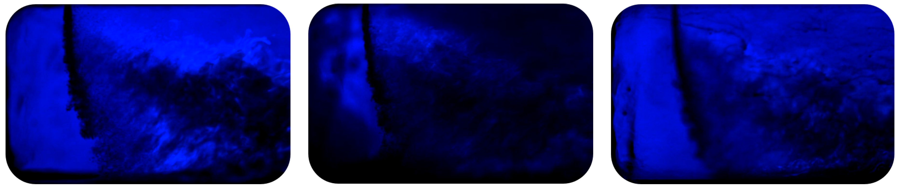 Preprints 144519 g020