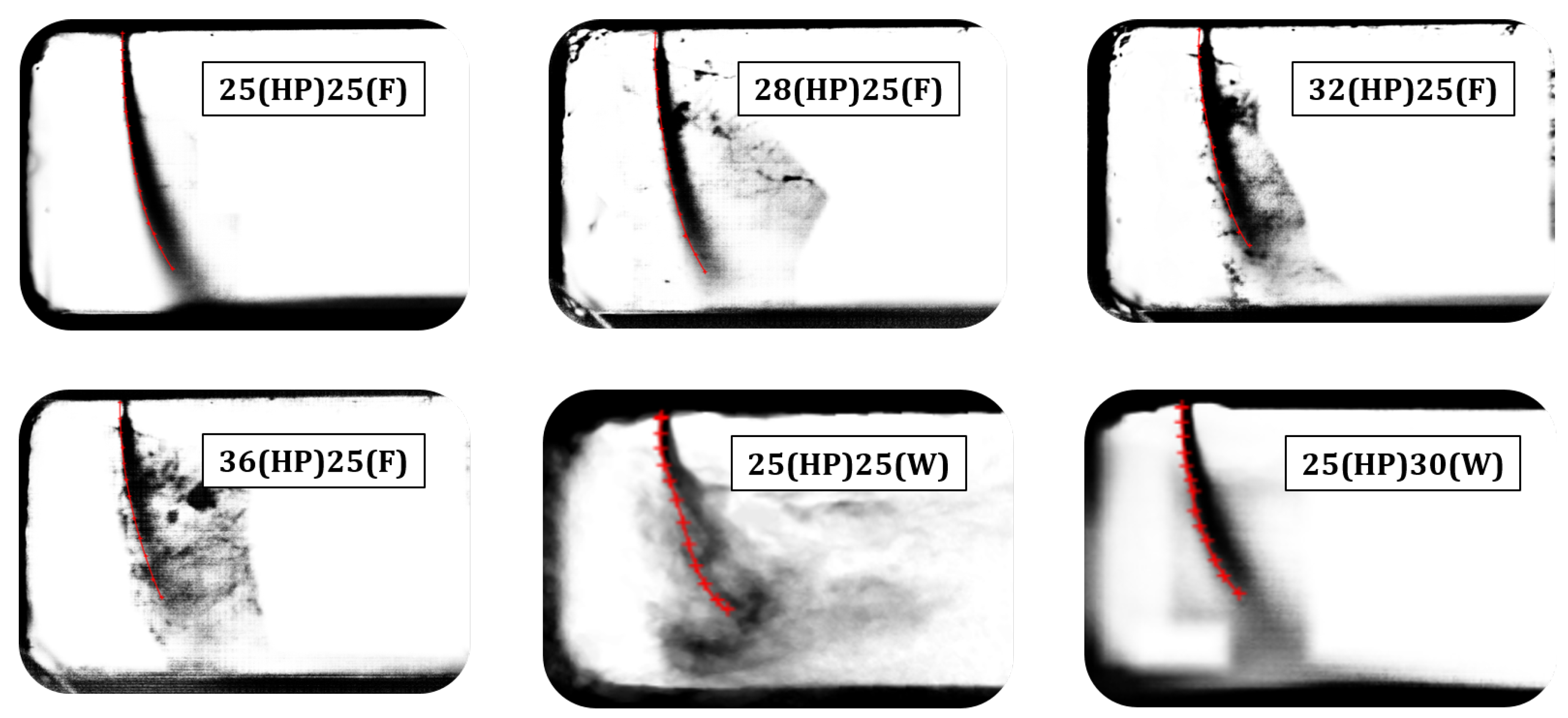 Preprints 144519 g022