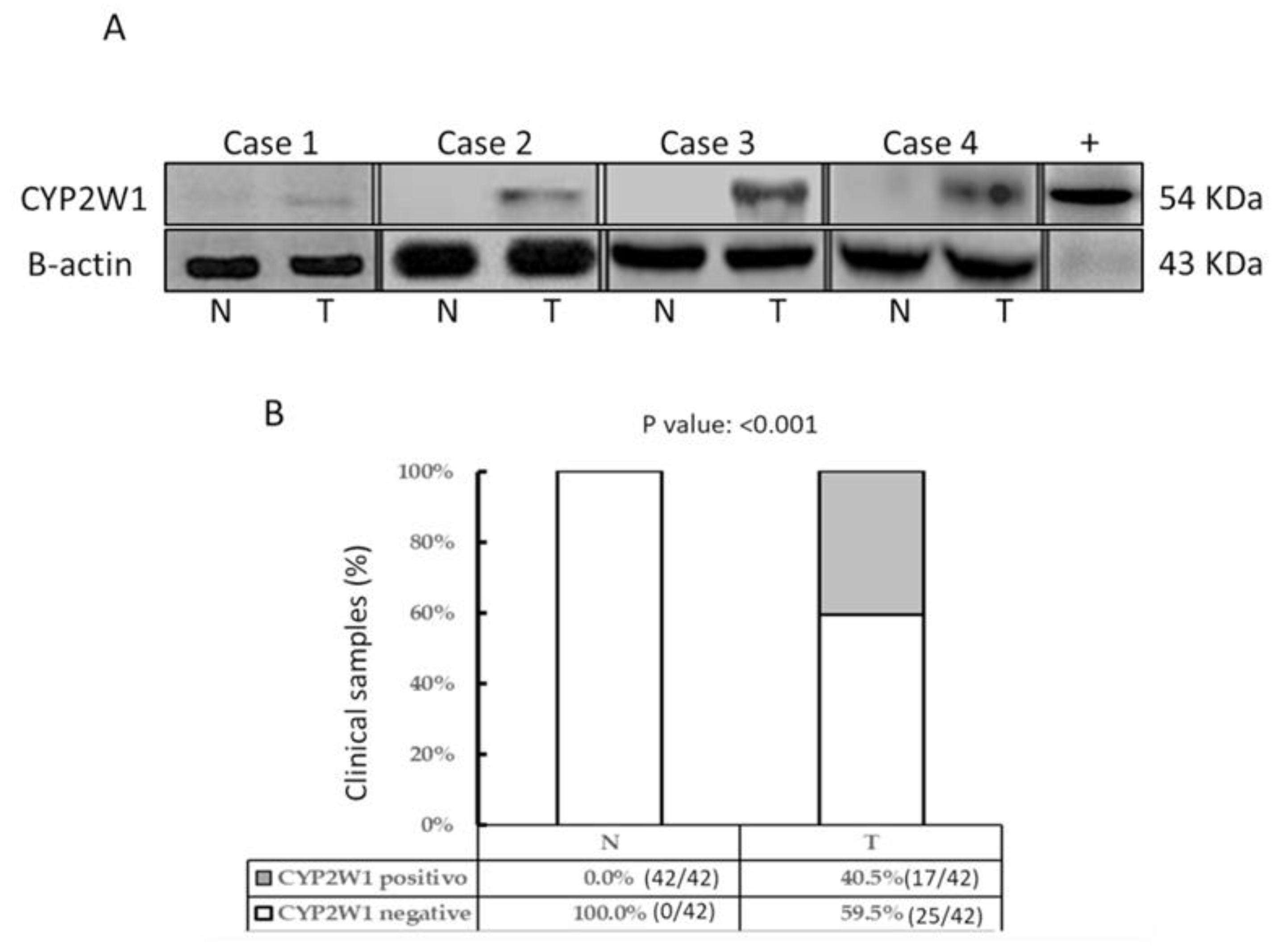Preprints 145025 g002