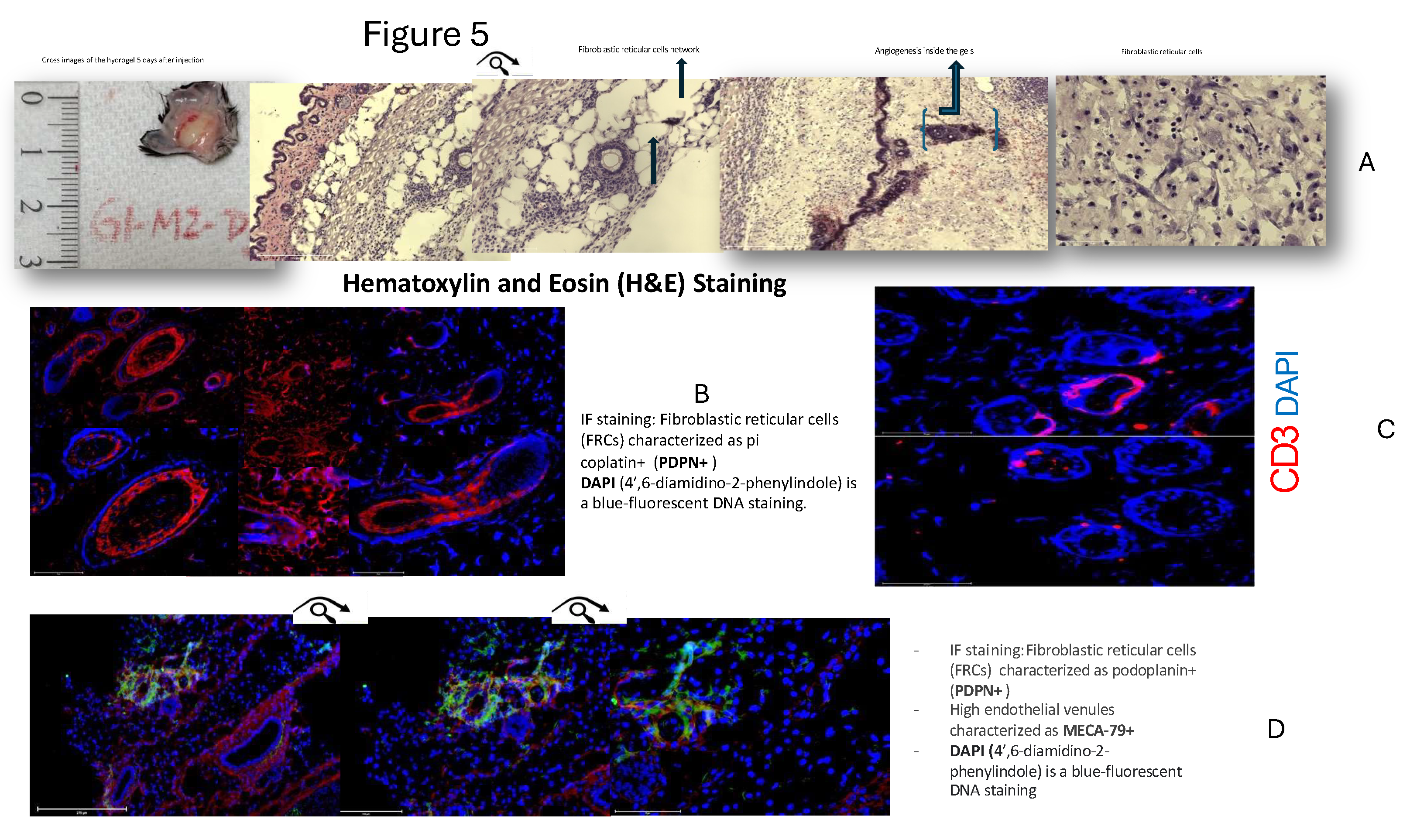 Preprints 161104 g005