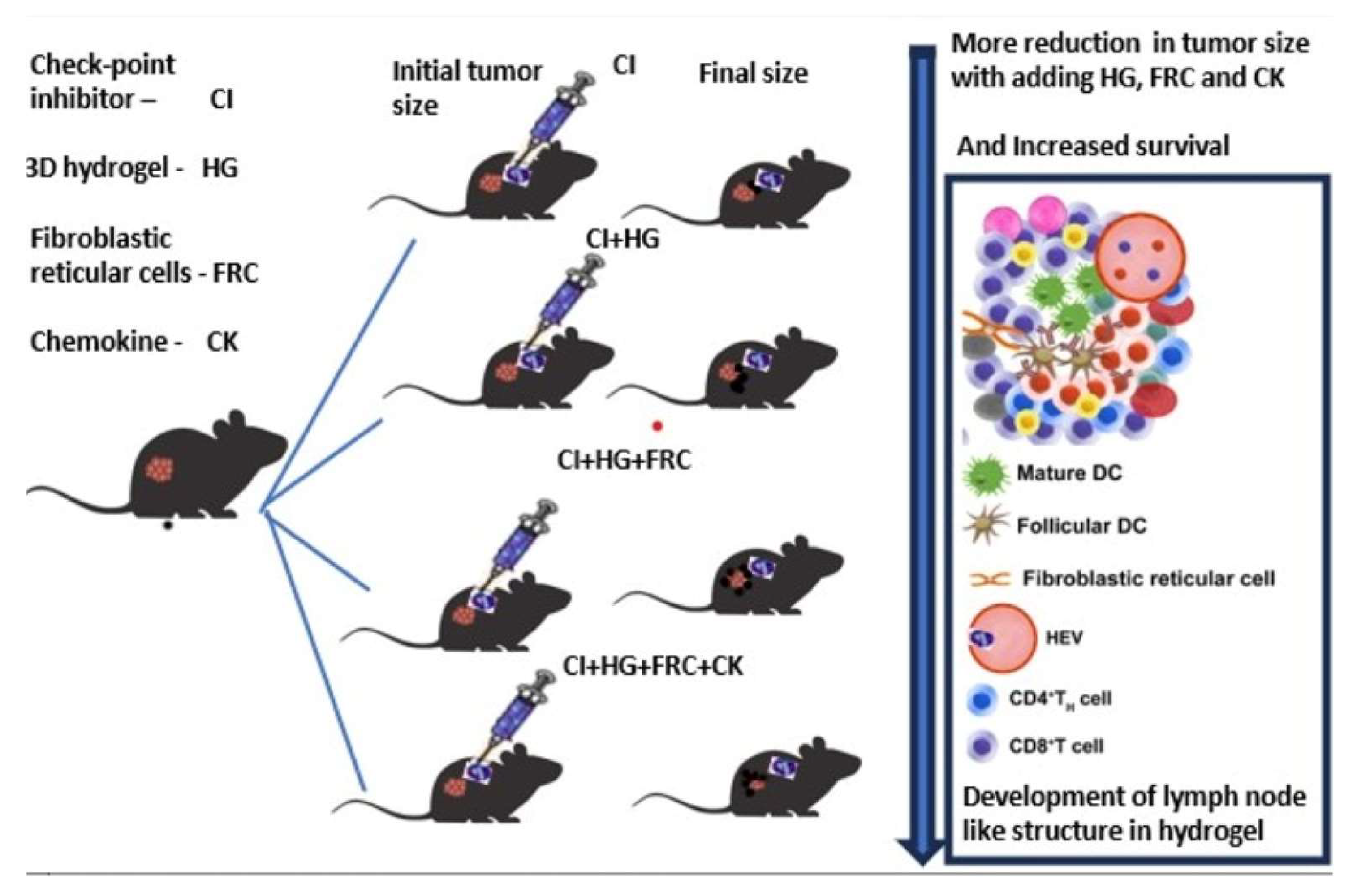 Preprints 161104 g006