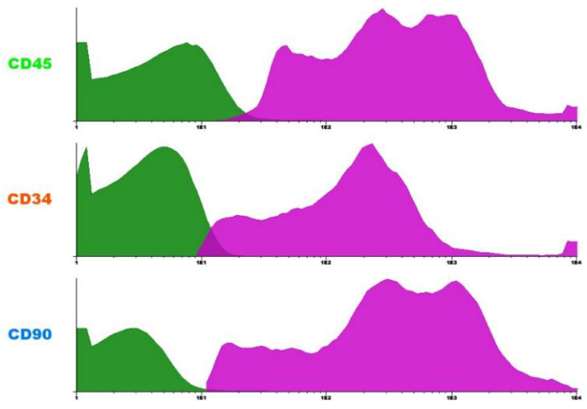 Preprints 165164 g001