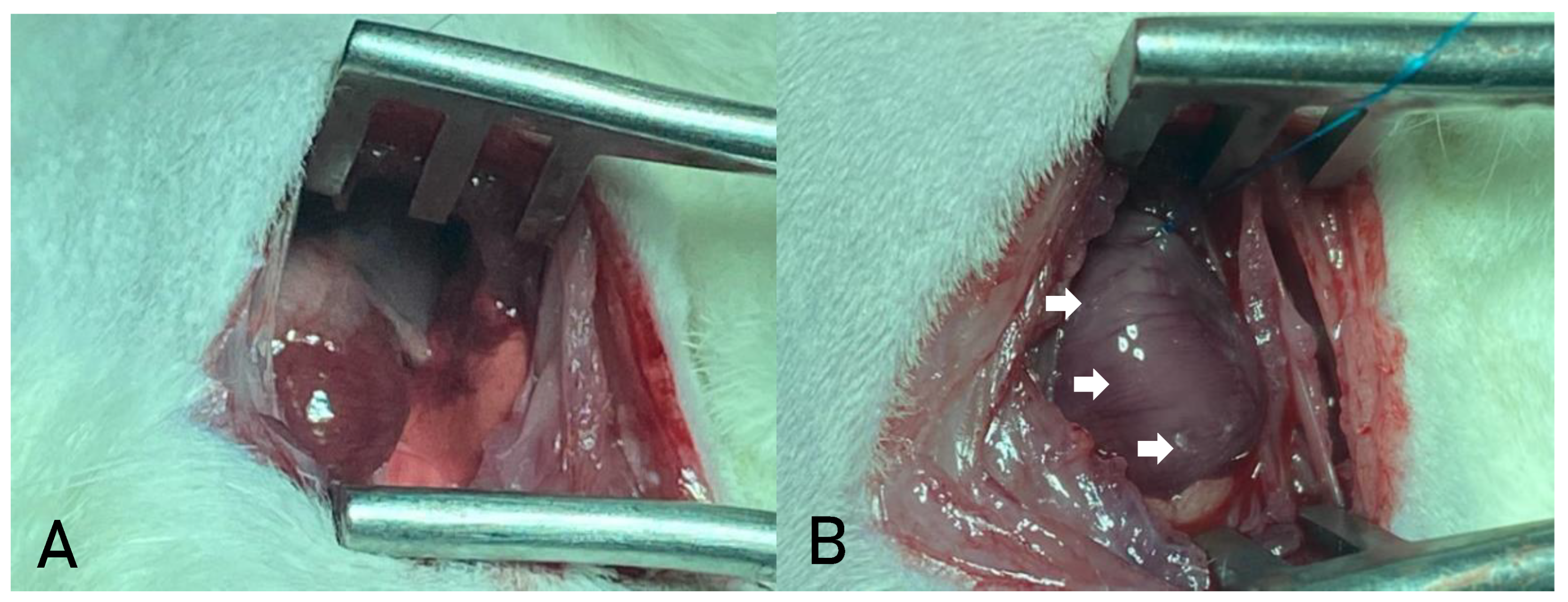 Preprints 165164 g002
