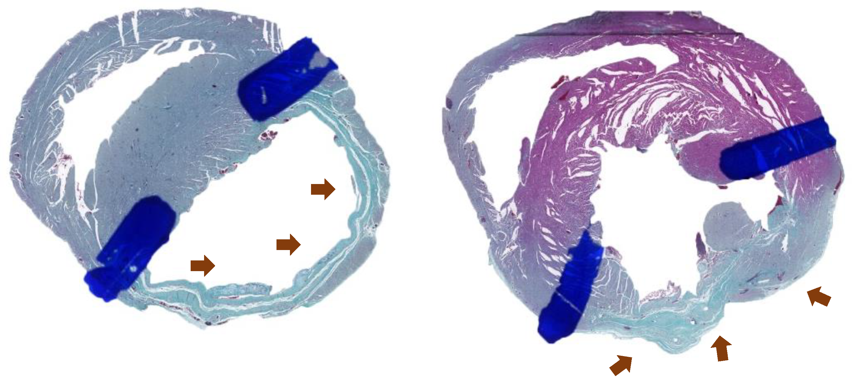 Preprints 165164 g004