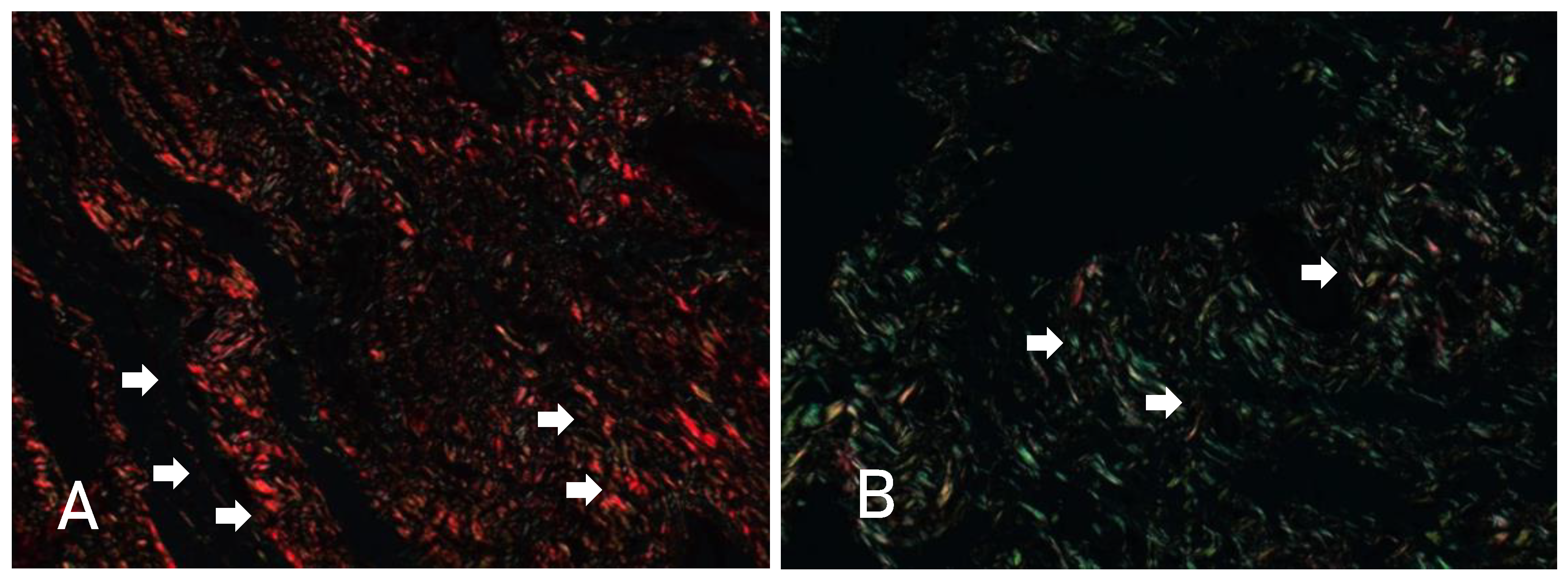 Preprints 165164 g005
