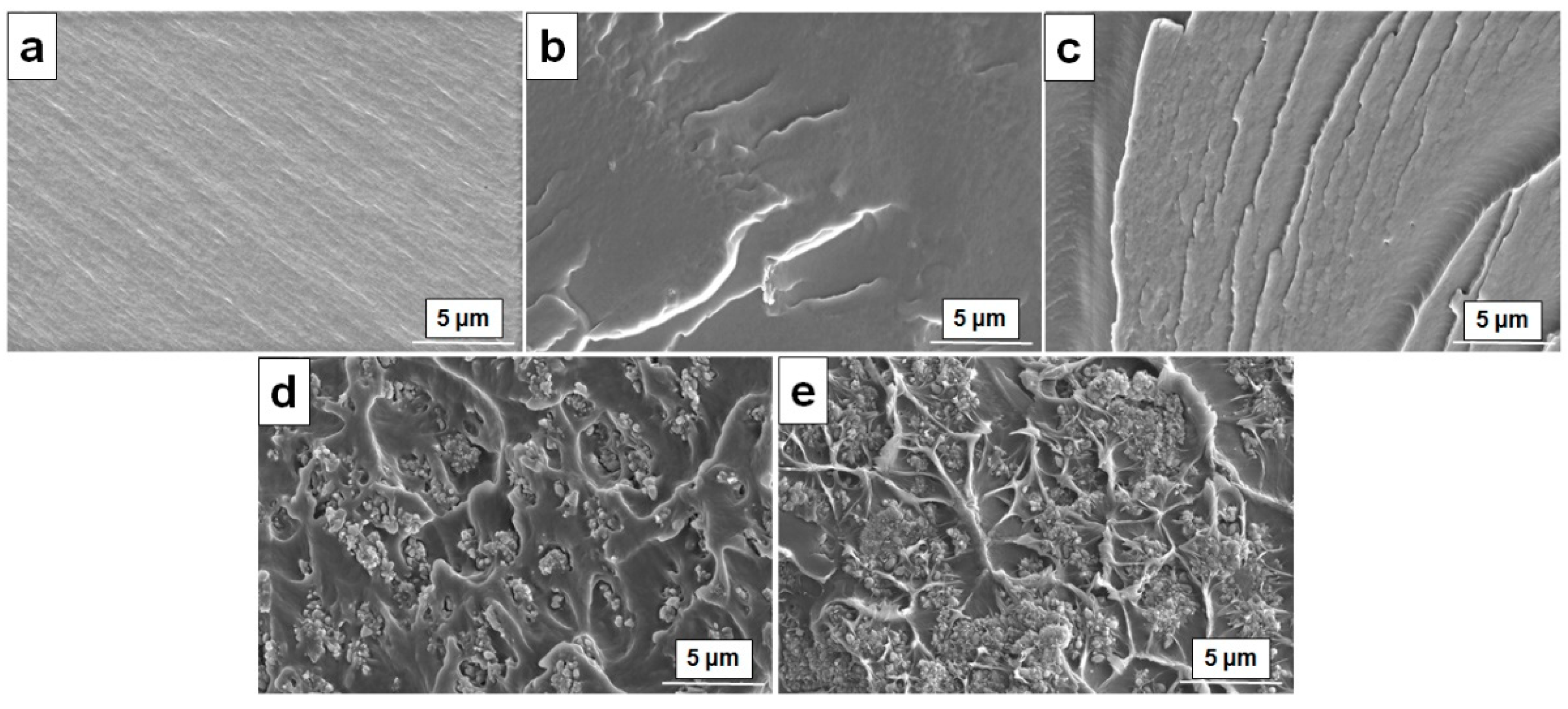 Preprints 72911 g003