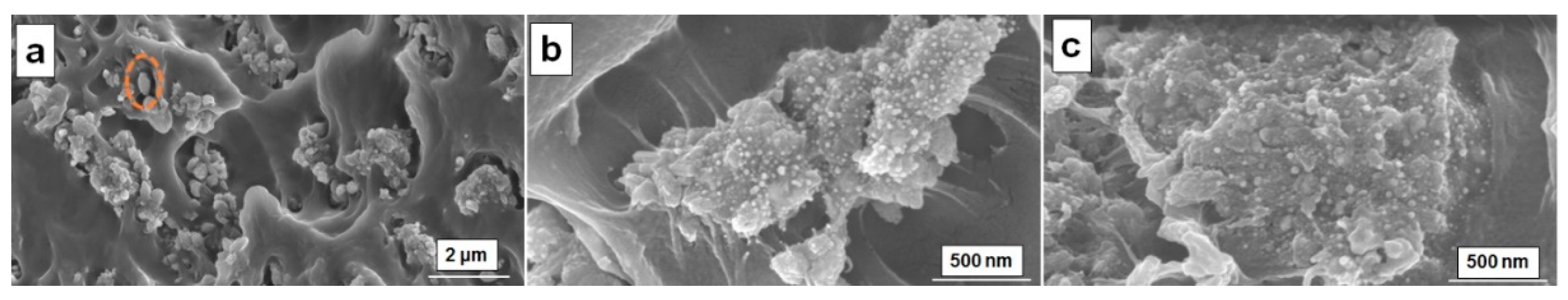 Preprints 72911 g004