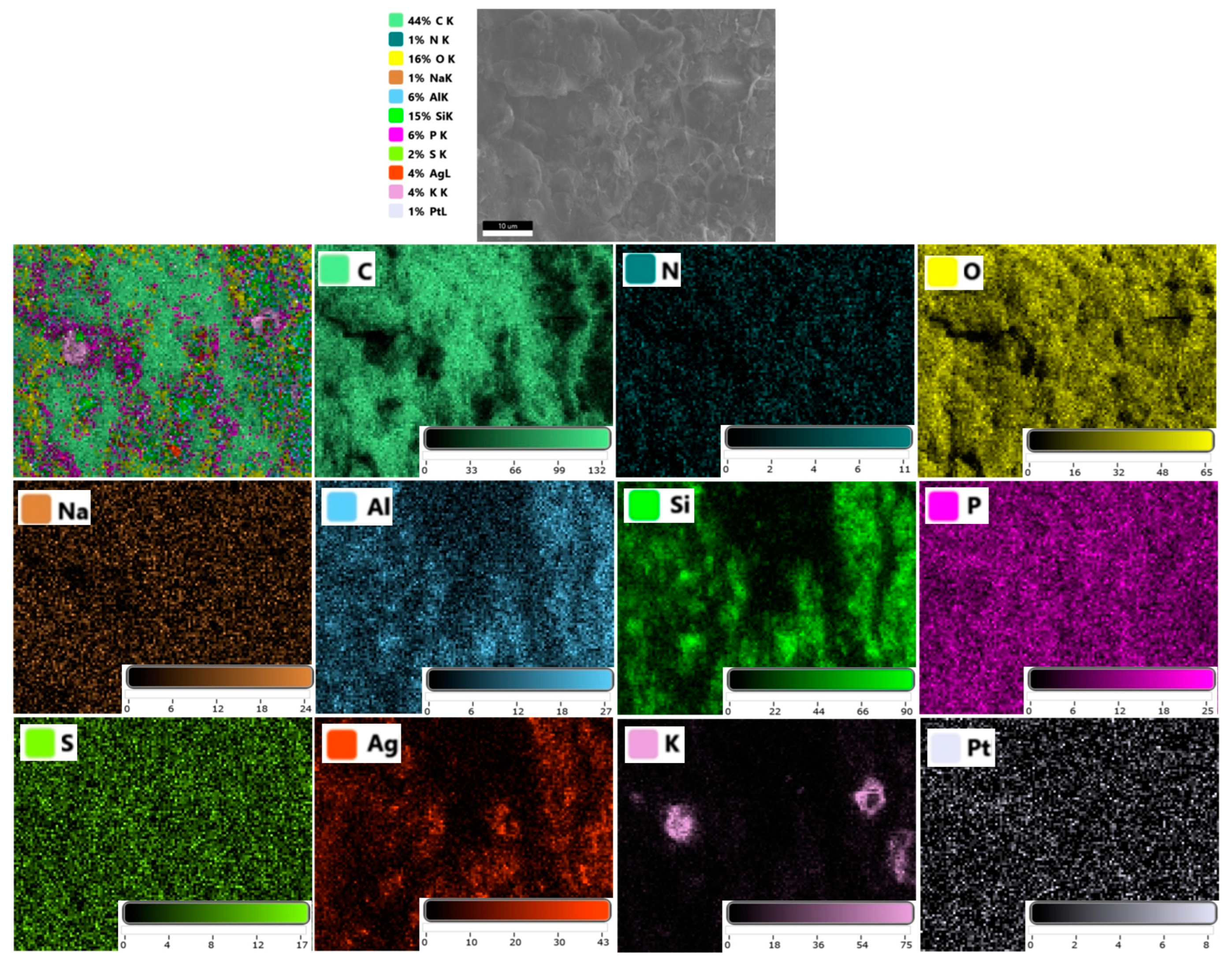Preprints 72911 g006