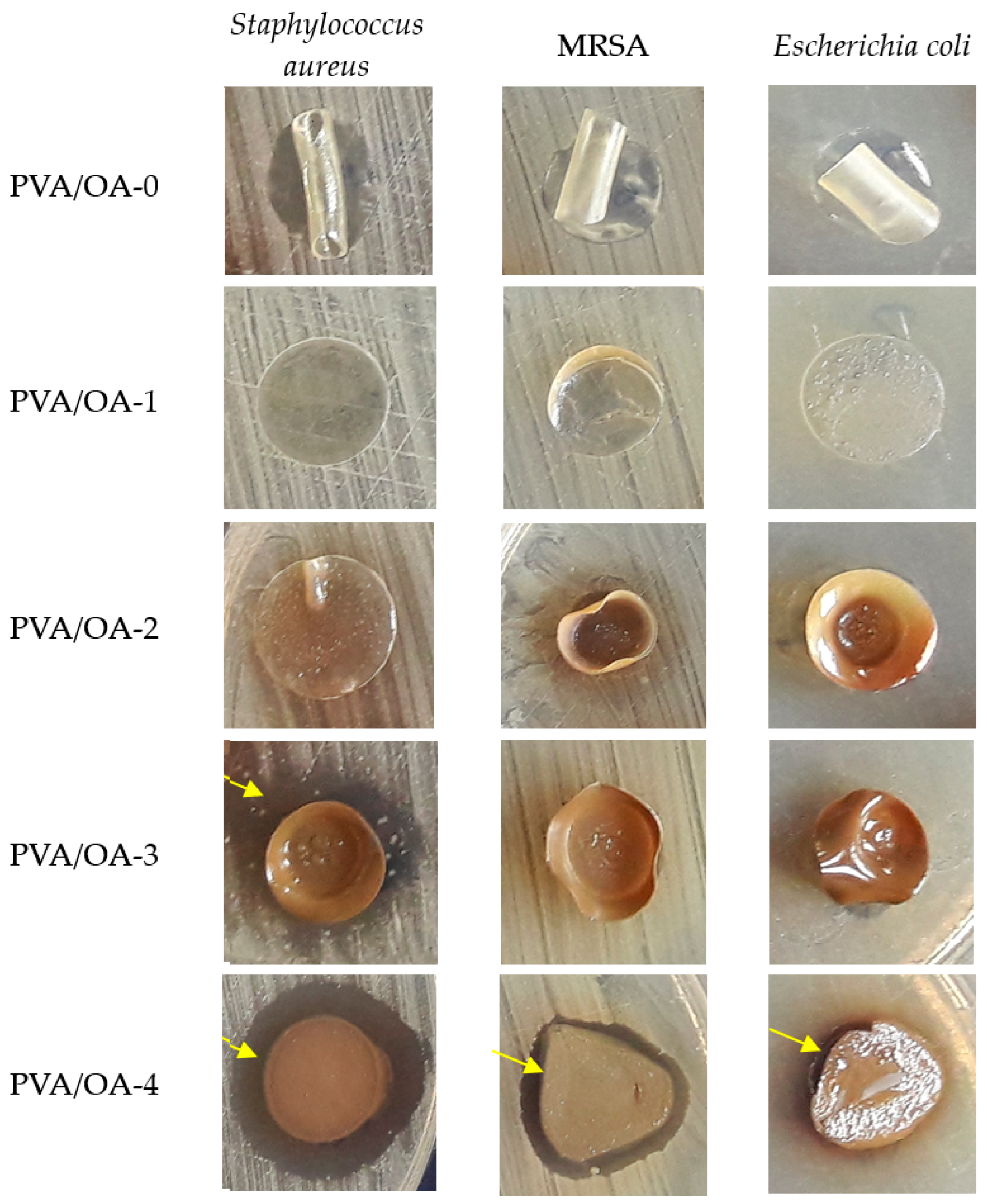 Preprints 72911 g012