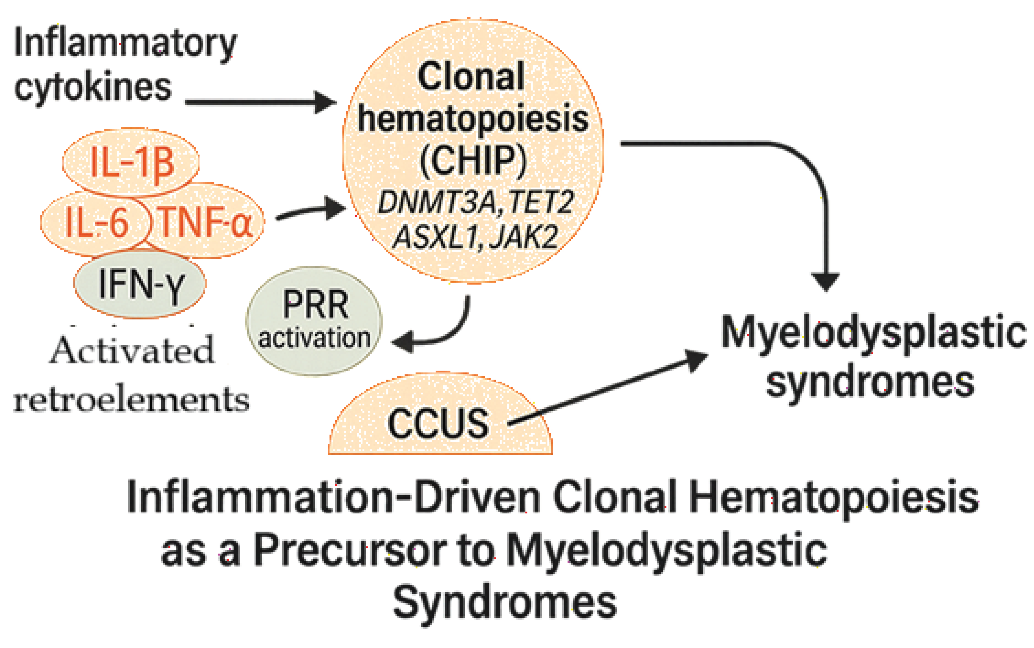 Preprints 215954 g001b