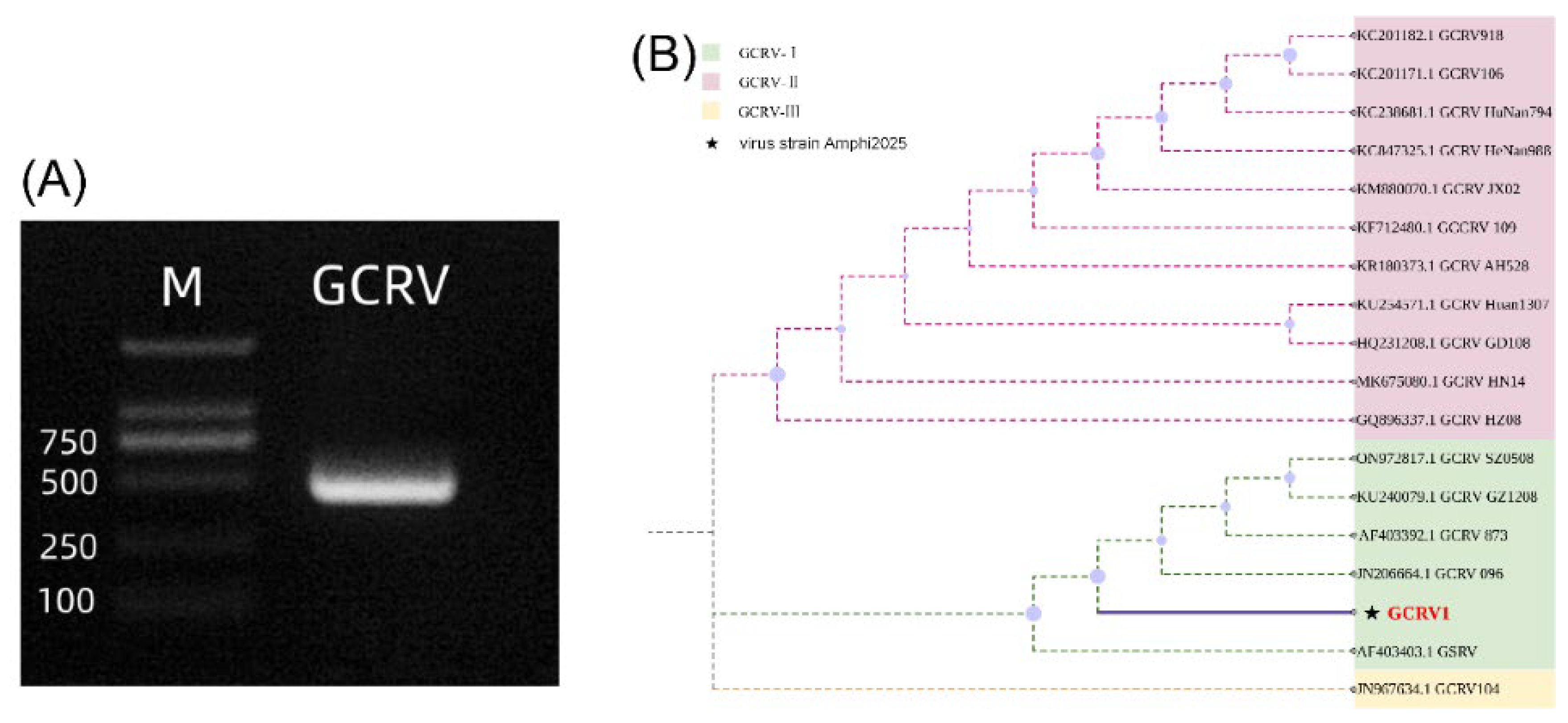 Preprints 177281 g001