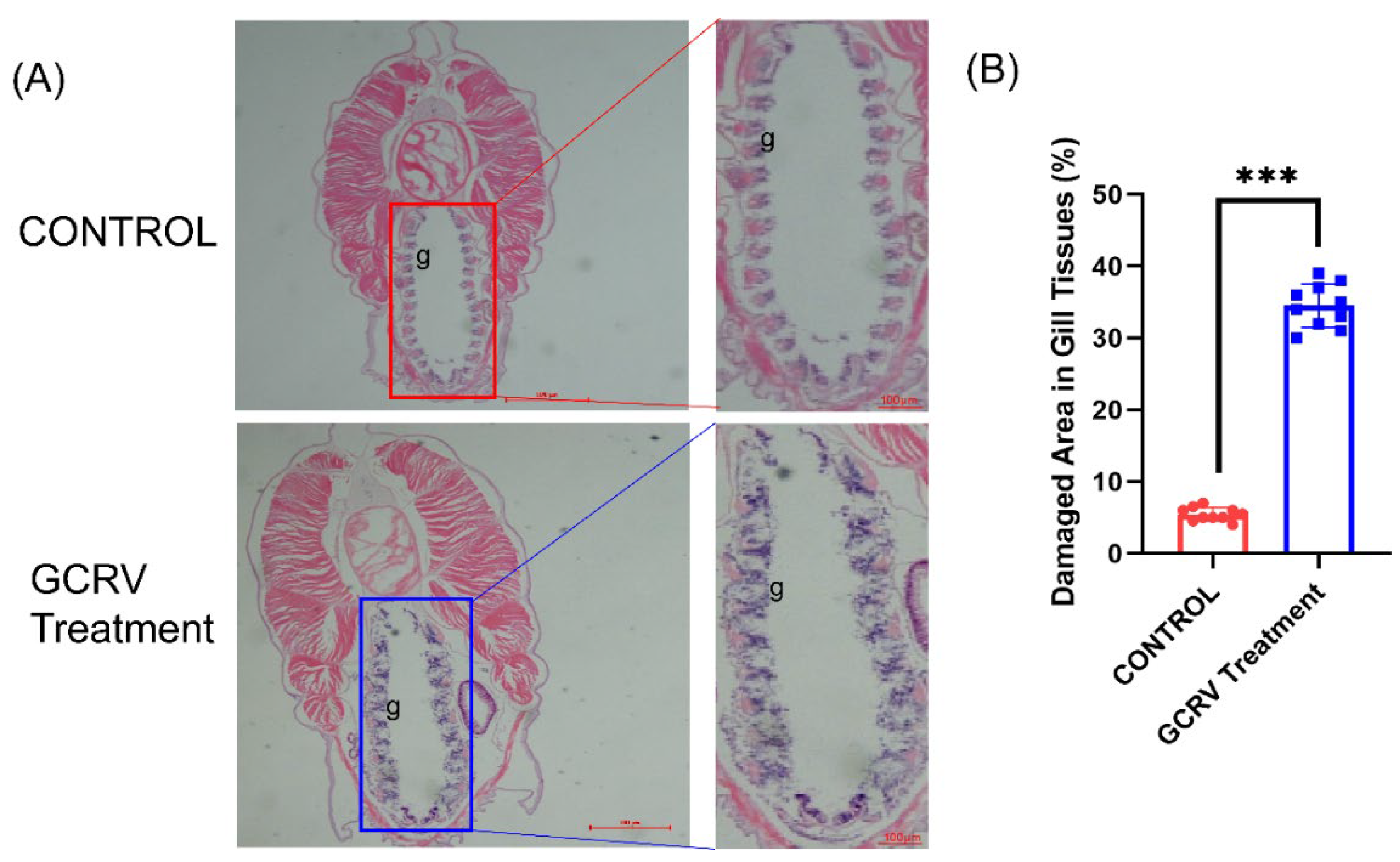 Preprints 177281 g002
