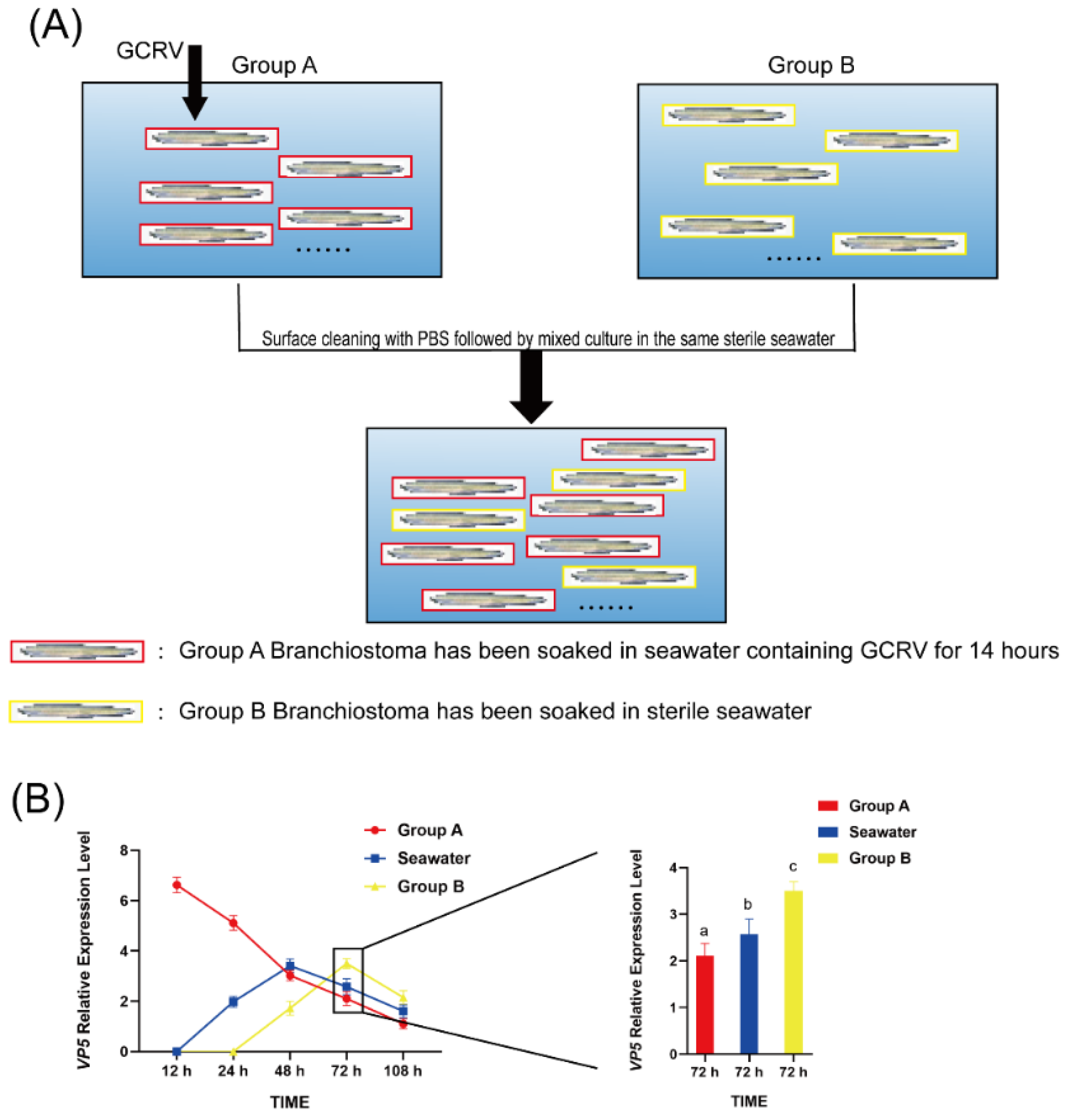 Preprints 177281 g005