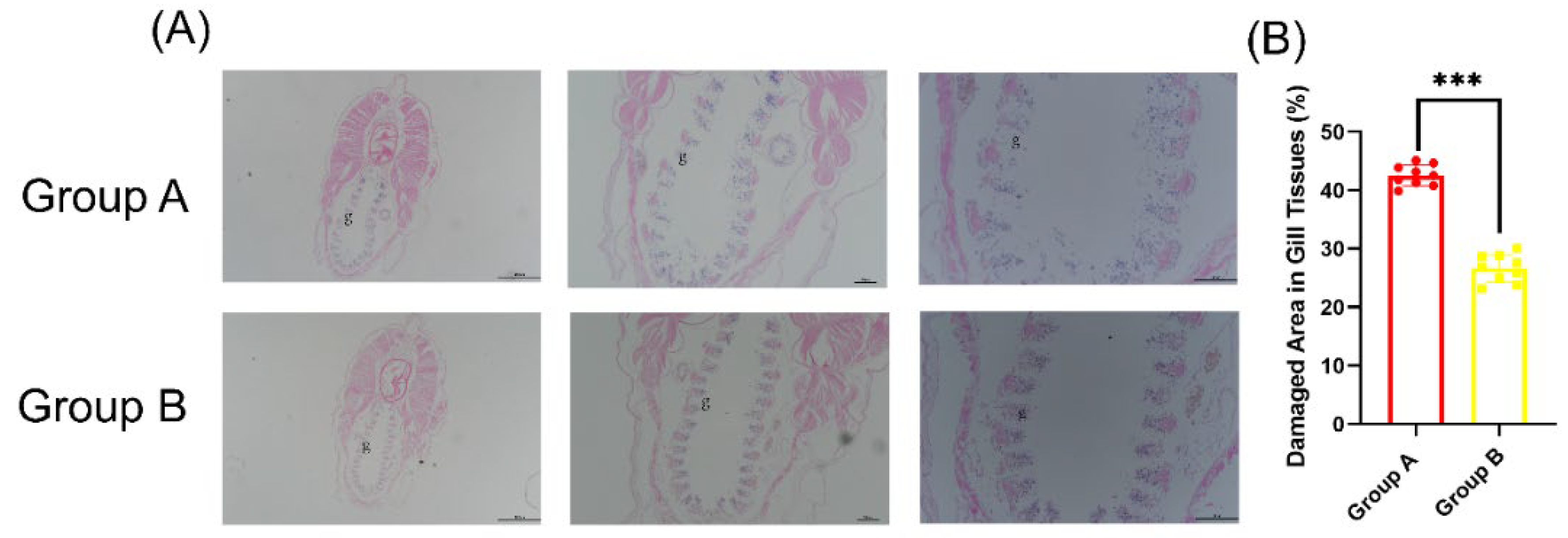 Preprints 177281 g006