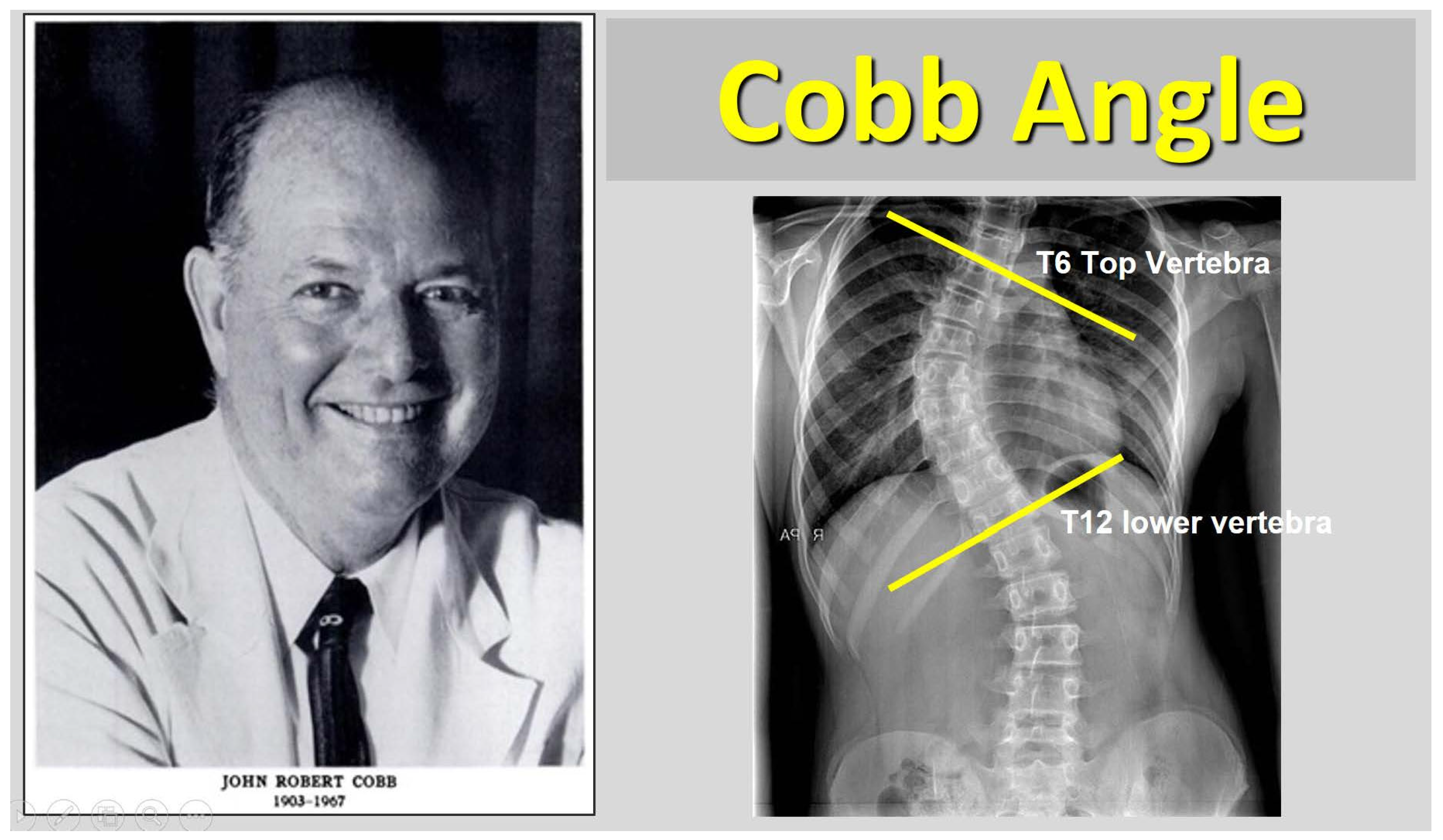 Preprints 158886 g001