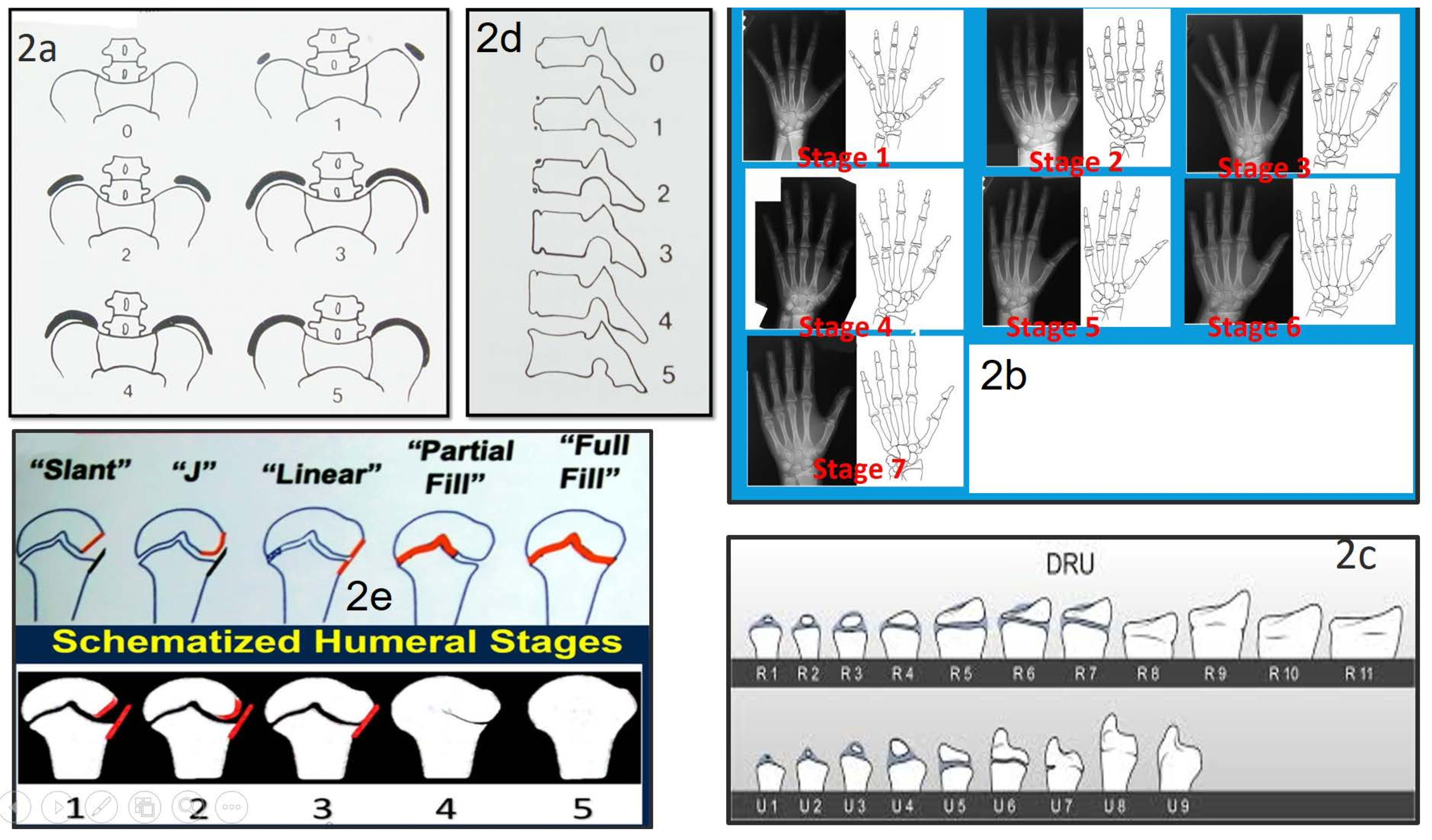 Preprints 158886 g002