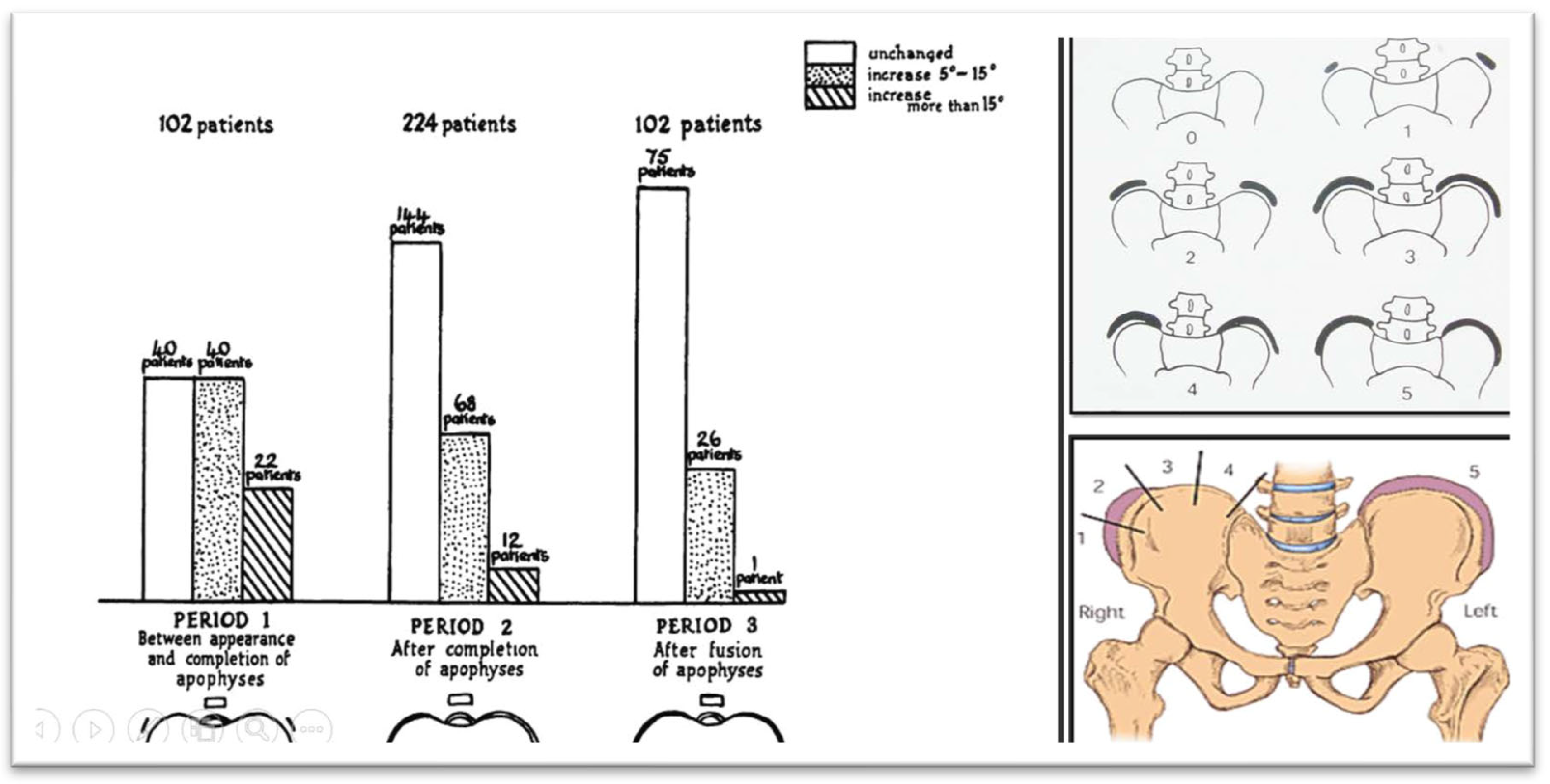 Preprints 158886 g003