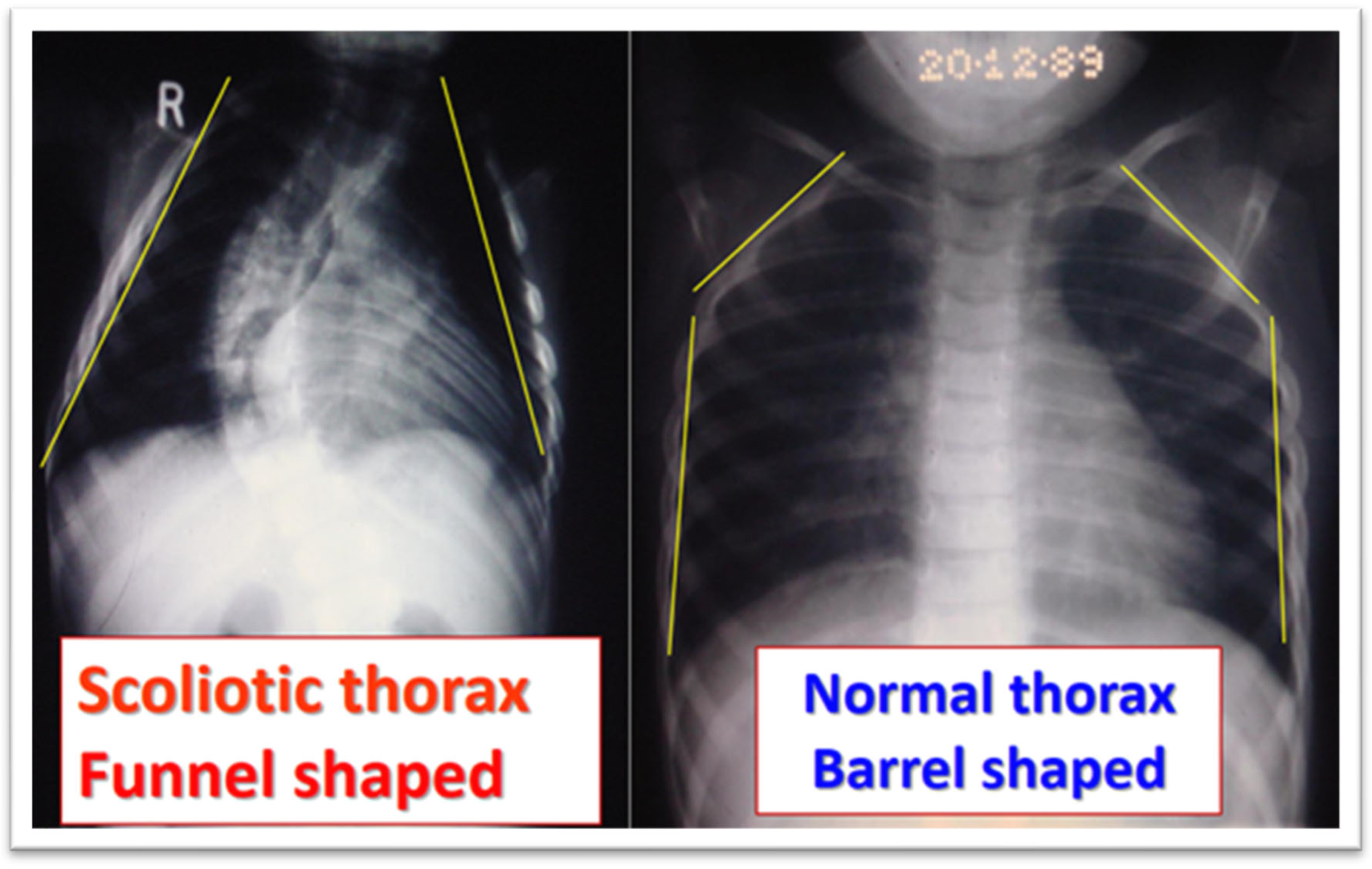 Preprints 158886 g006