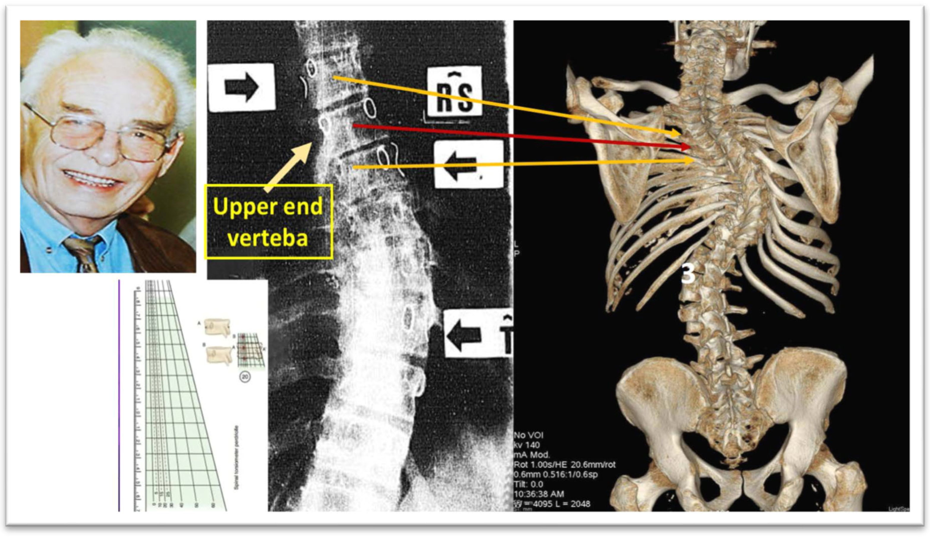 Preprints 158886 g008