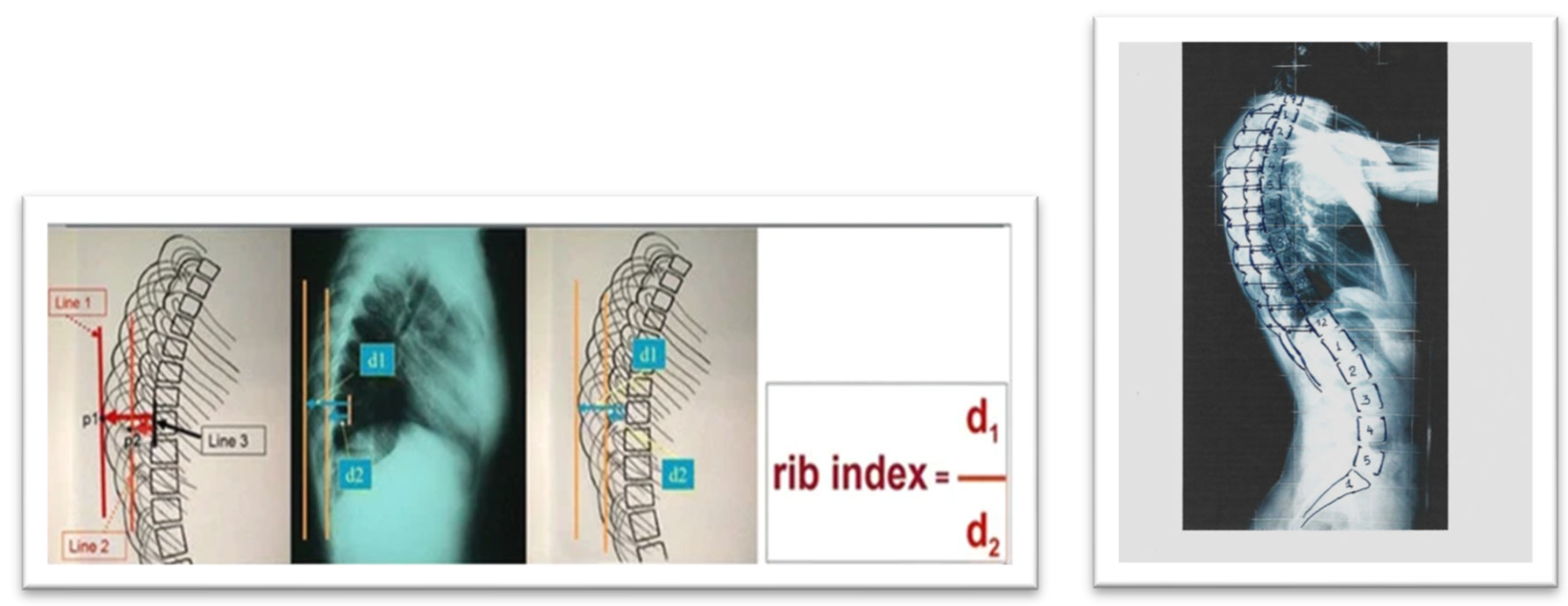 Preprints 158886 g014