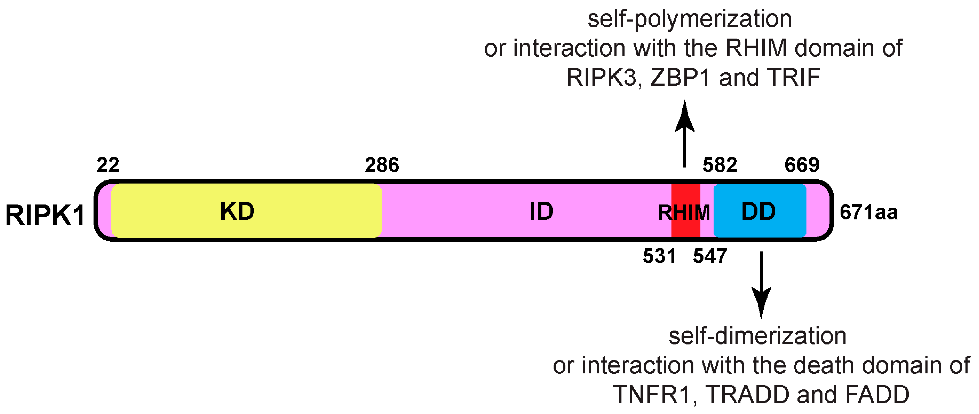 Preprints 106243 g001