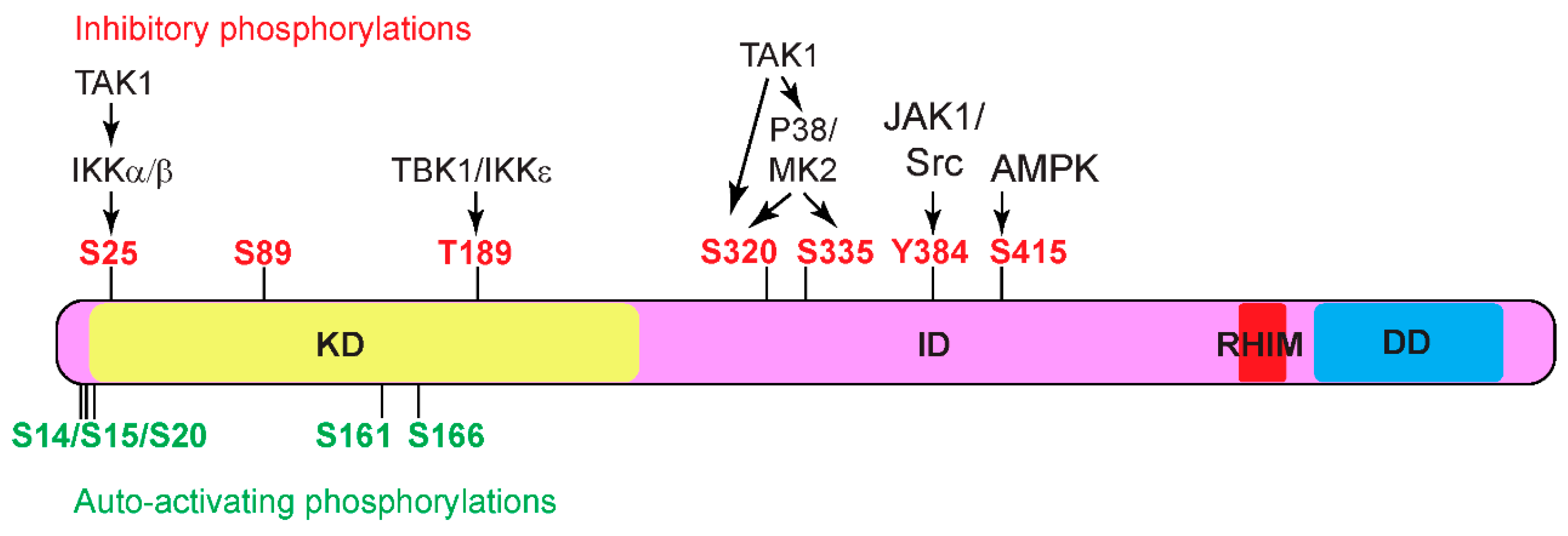 Preprints 106243 g003