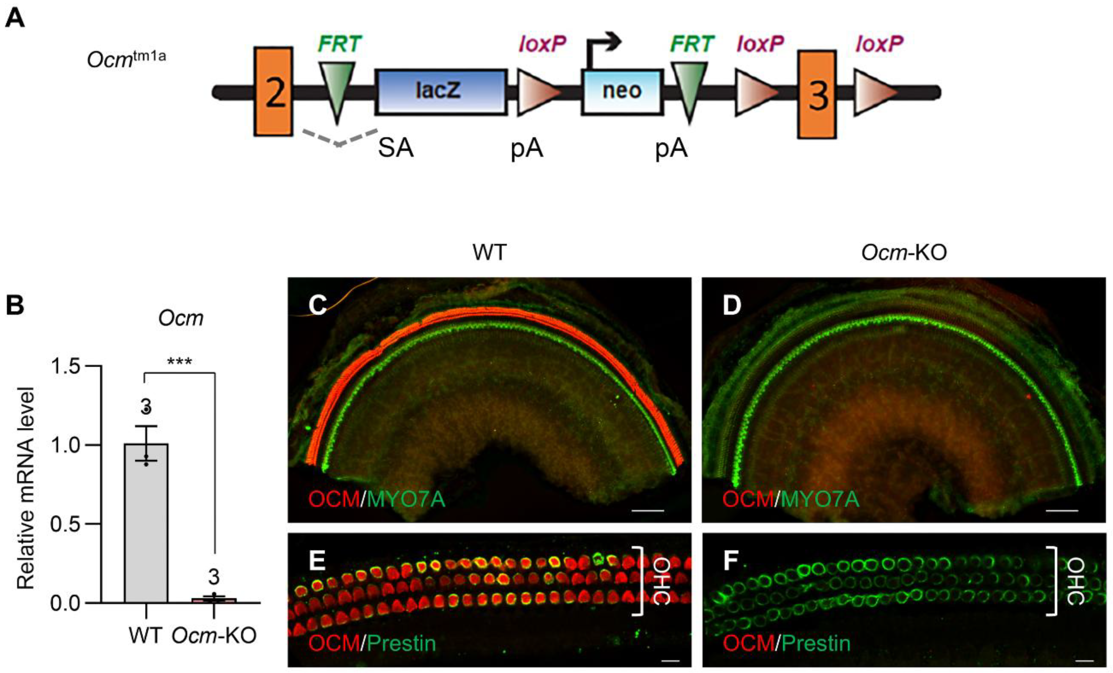 Preprints 206082 g001