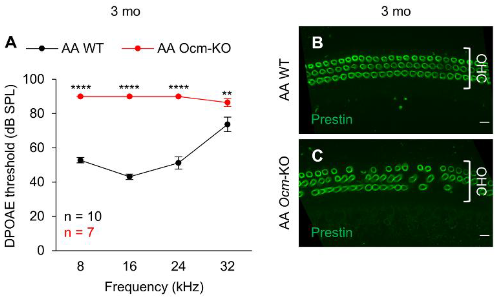 Preprints 206082 g002