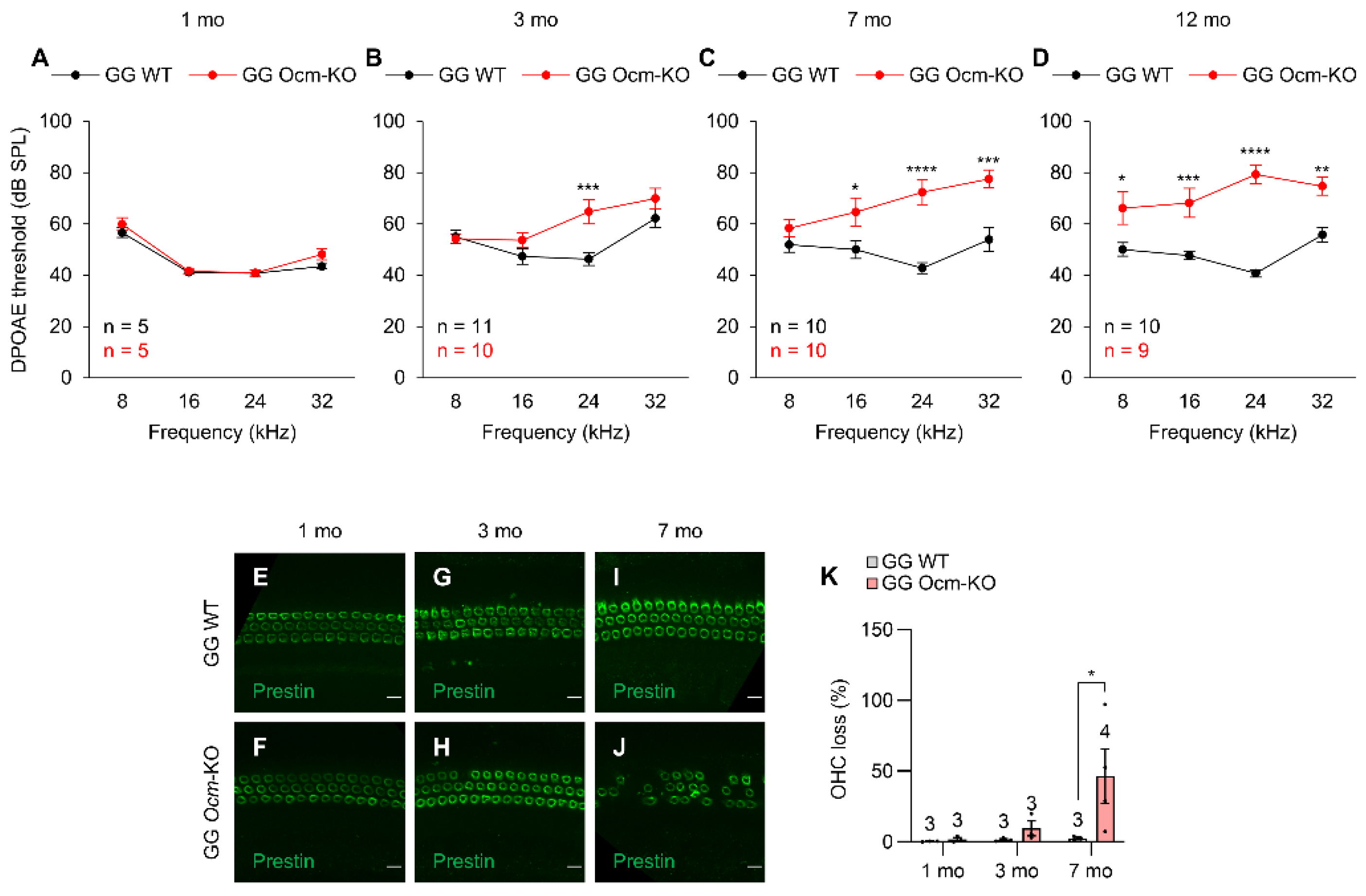Preprints 206082 g003