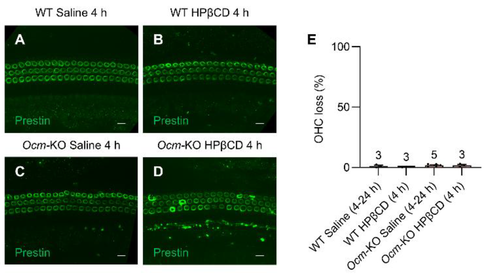 Preprints 206082 g006