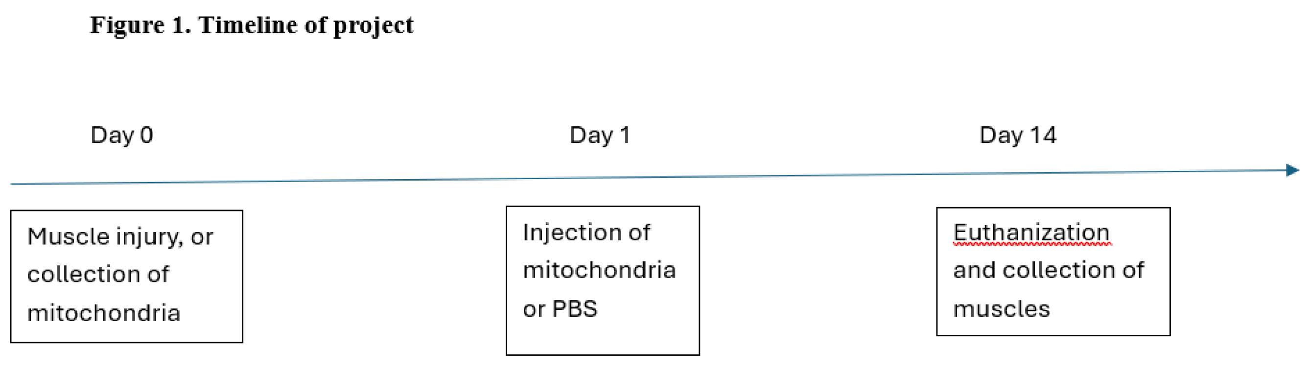 Preprints 148397 g001