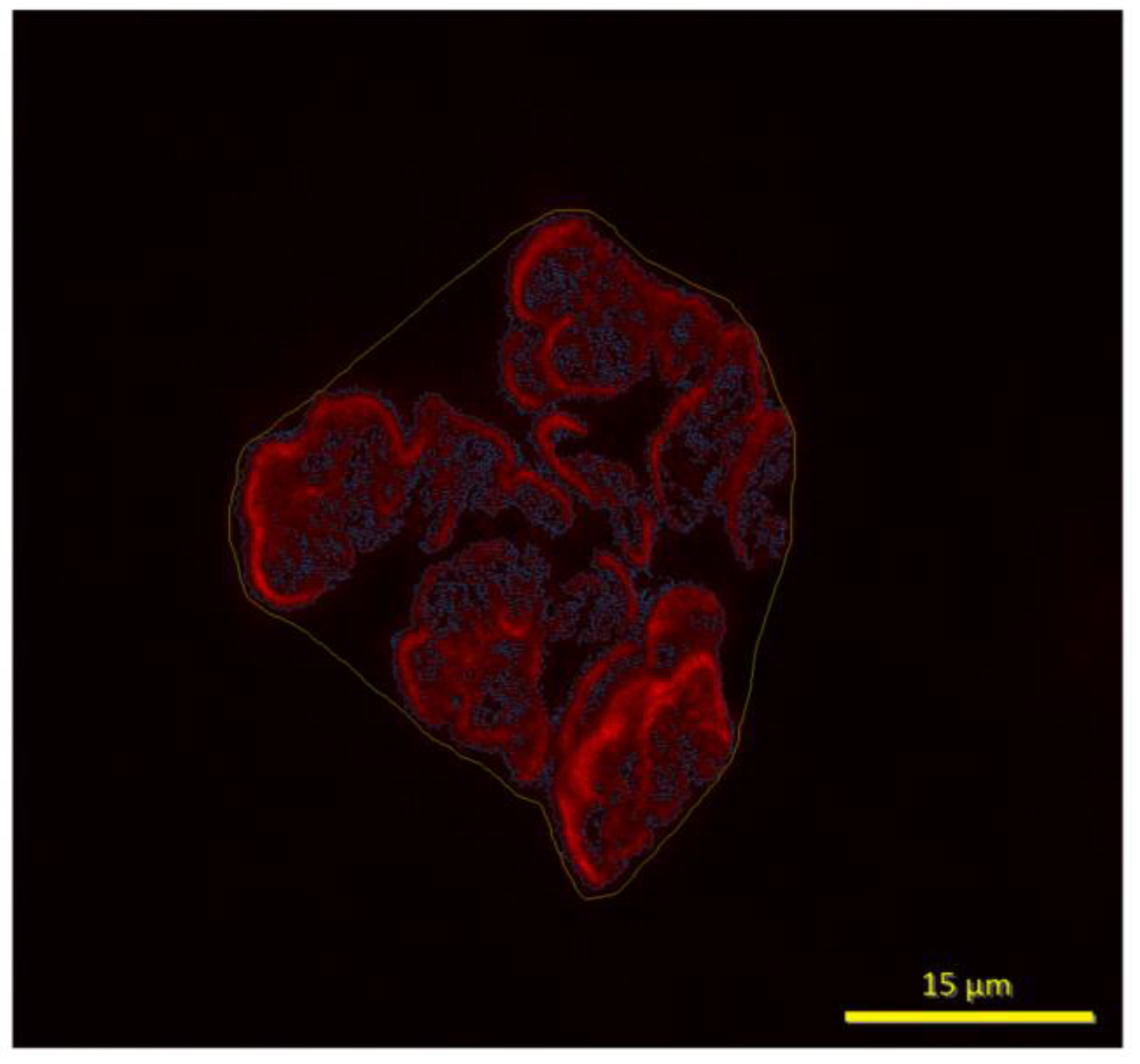Preprints 148397 g003