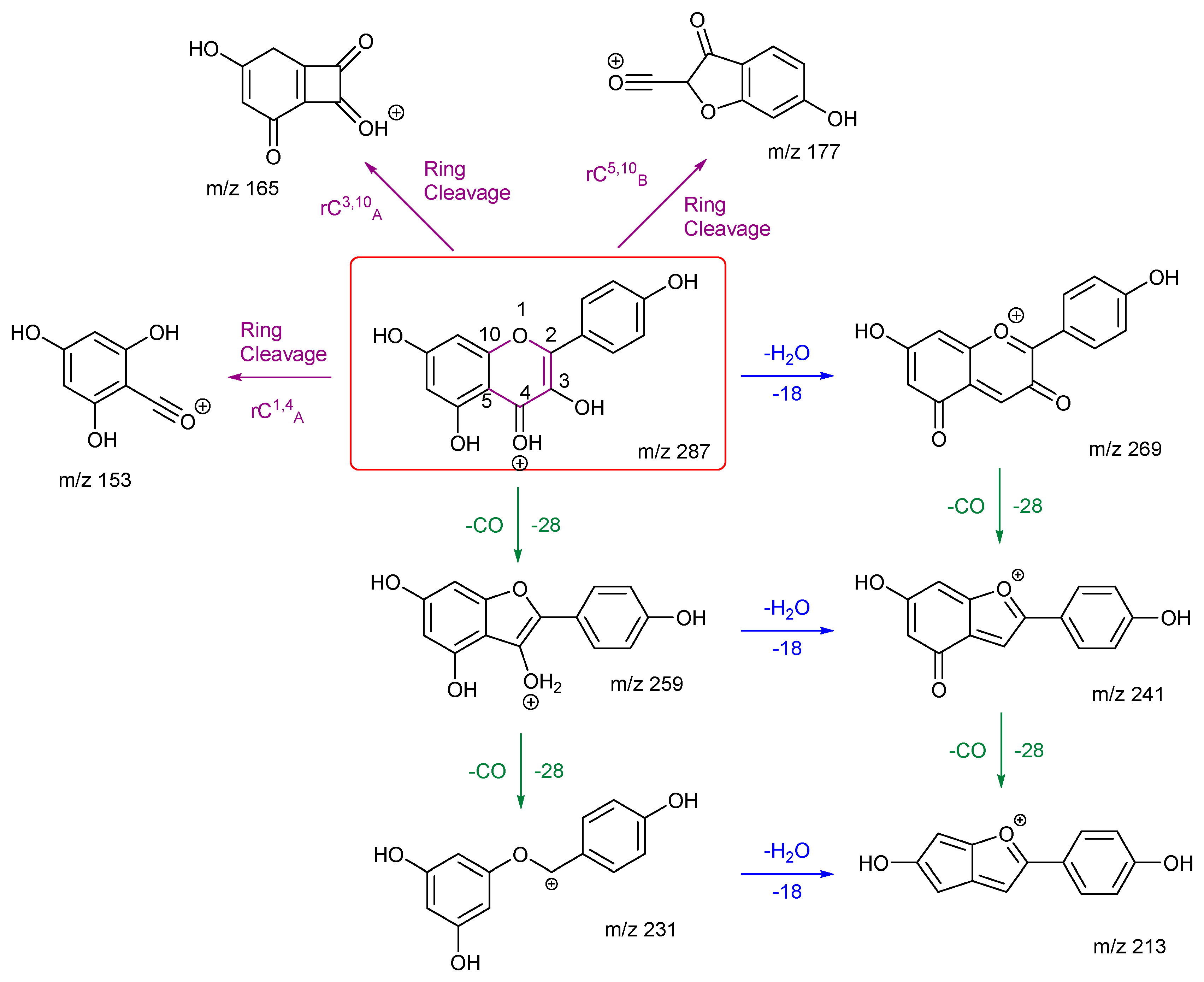 Preprints 121472 sch003